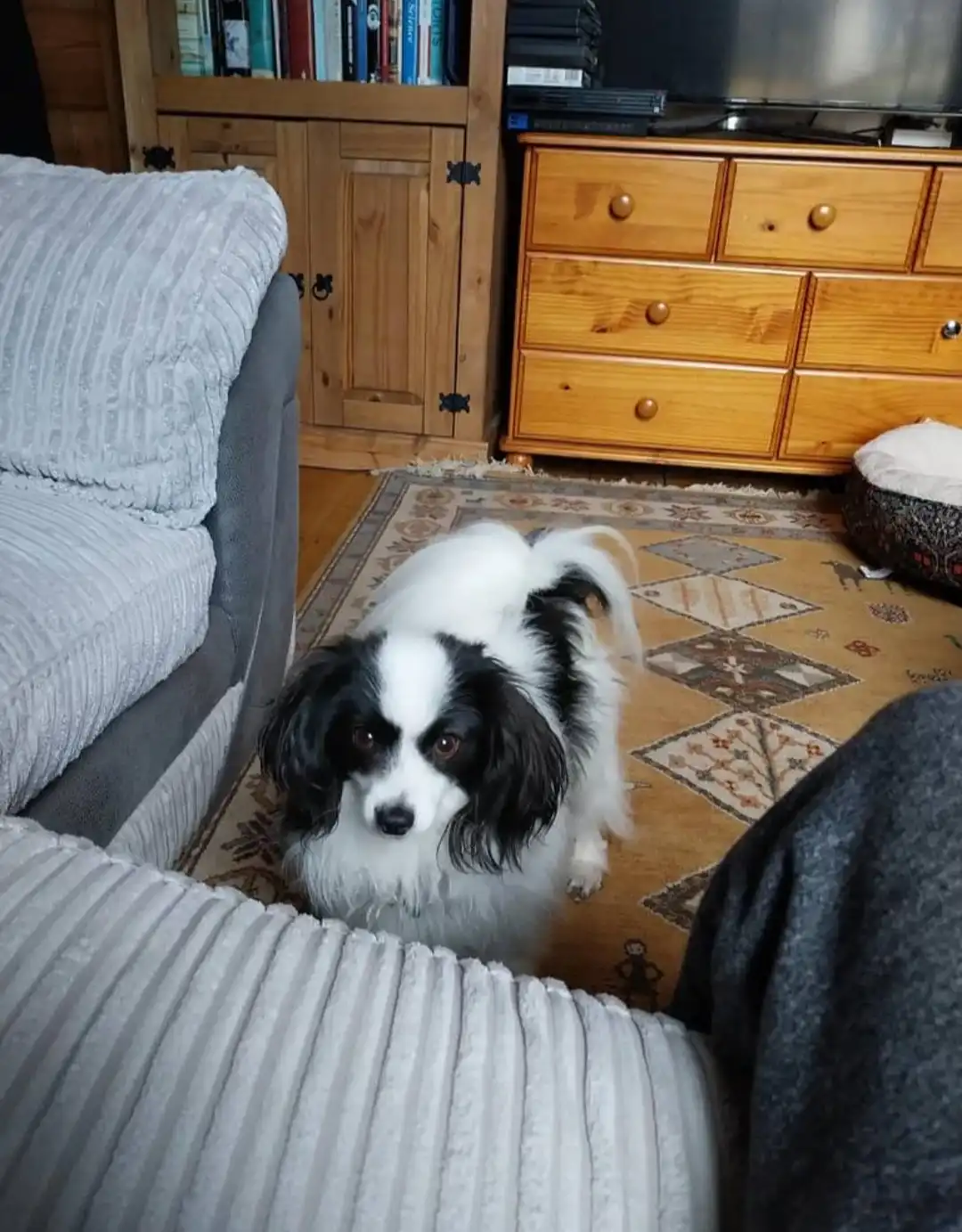 image-11