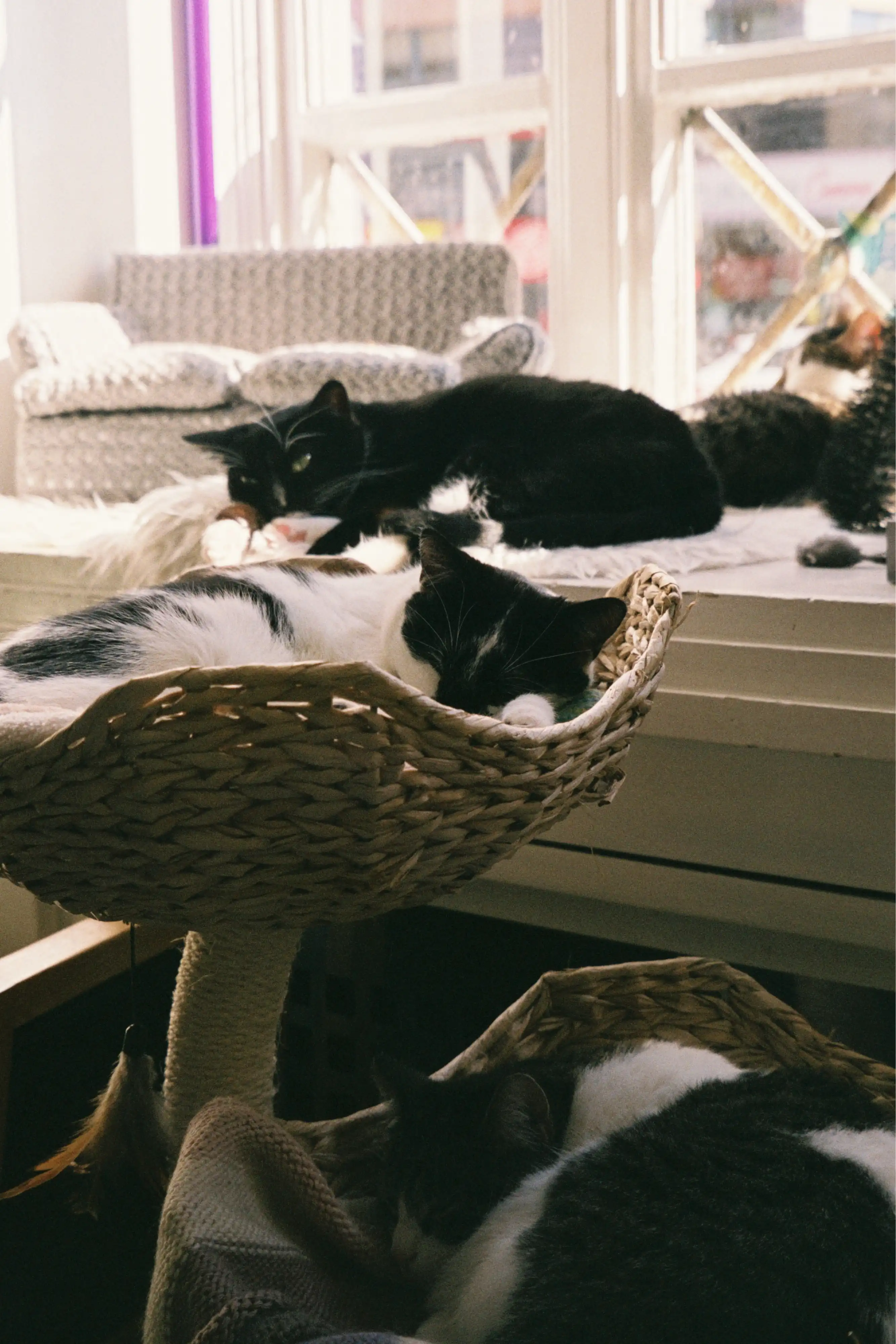 image-6