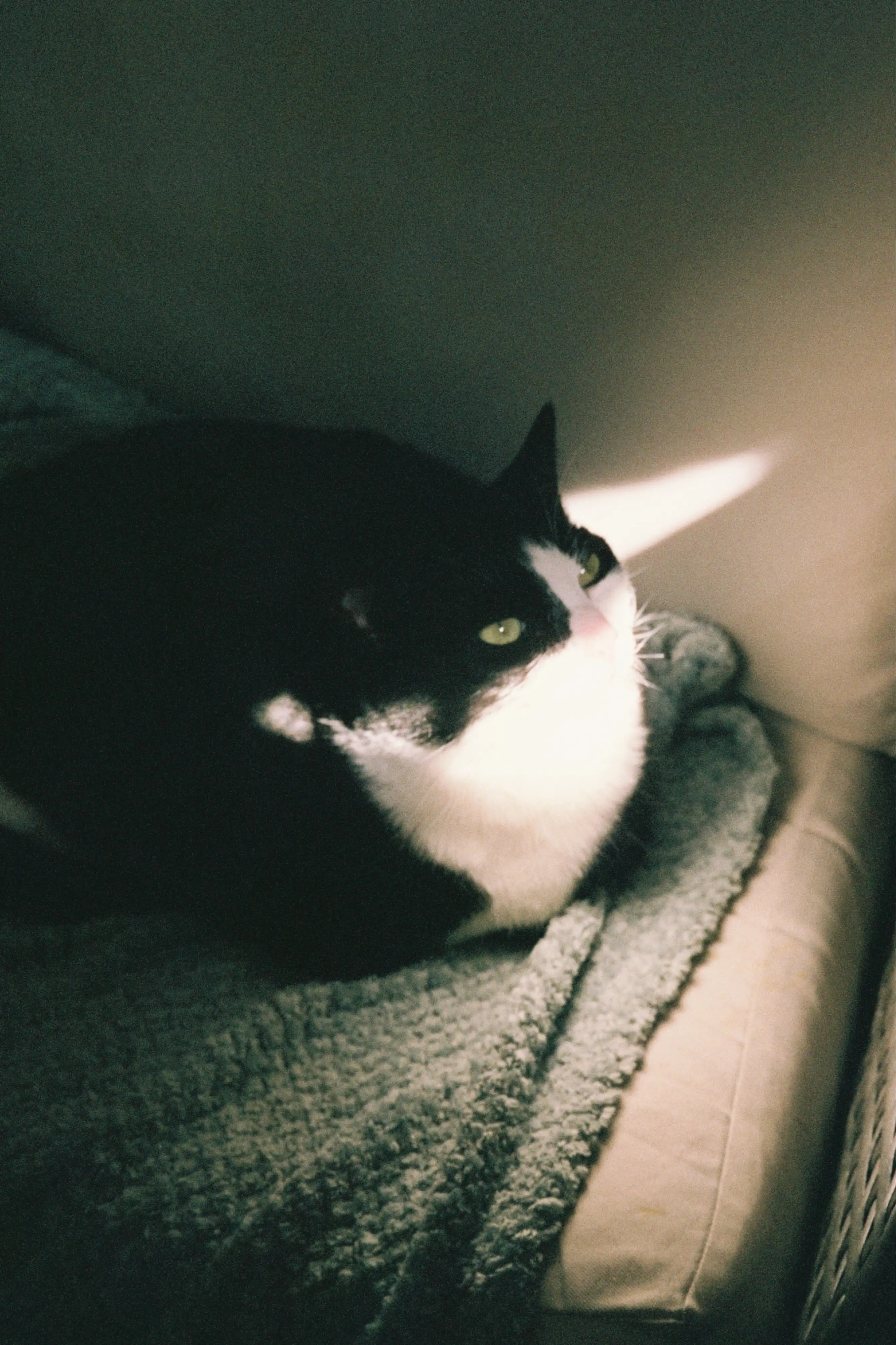 image-5