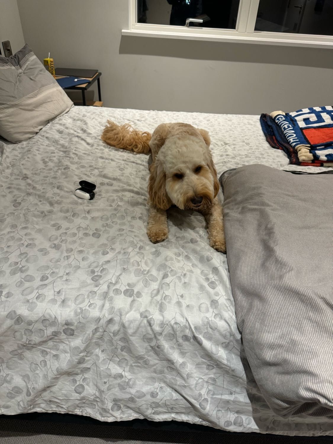 image-6