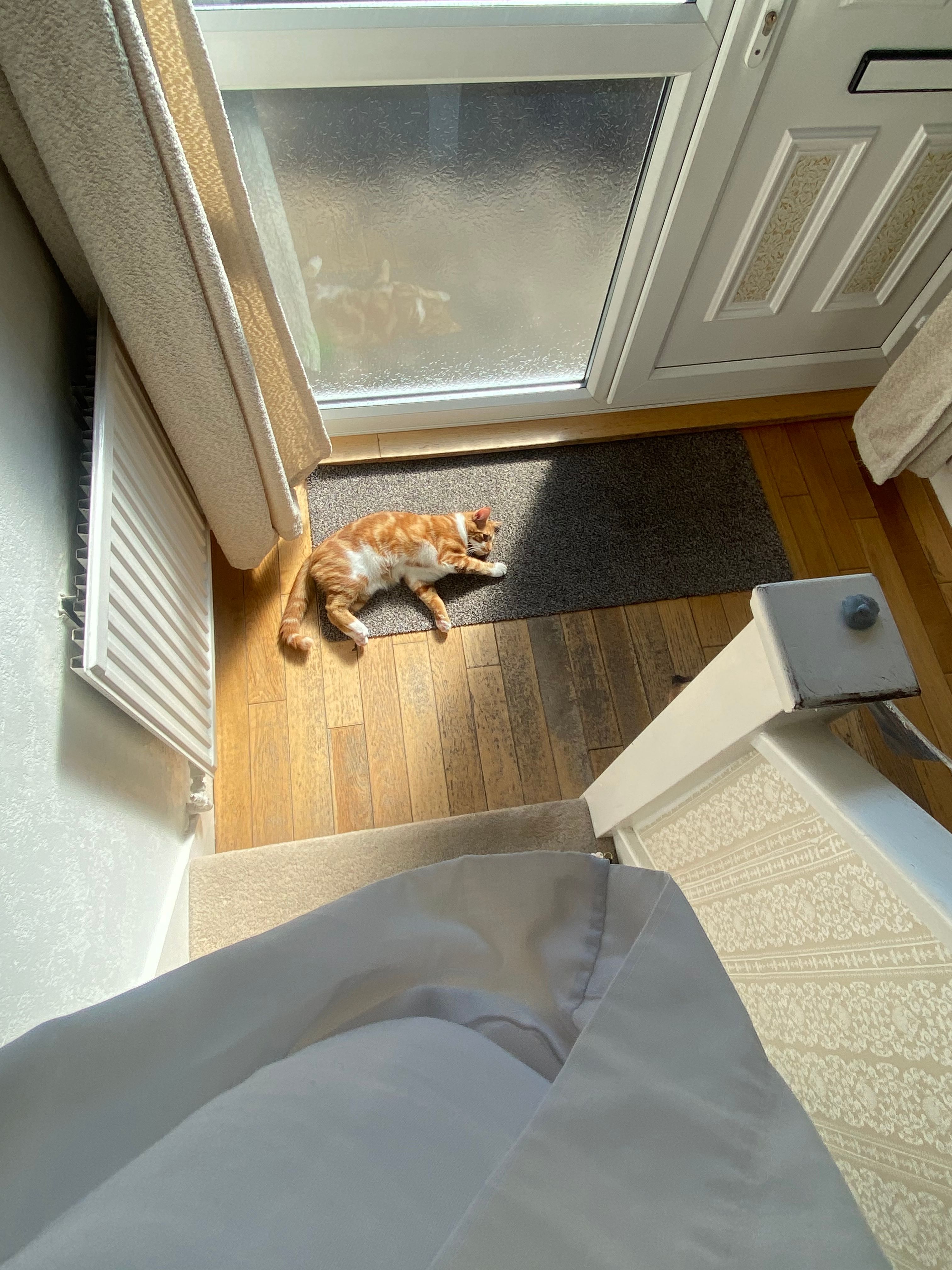 image-12