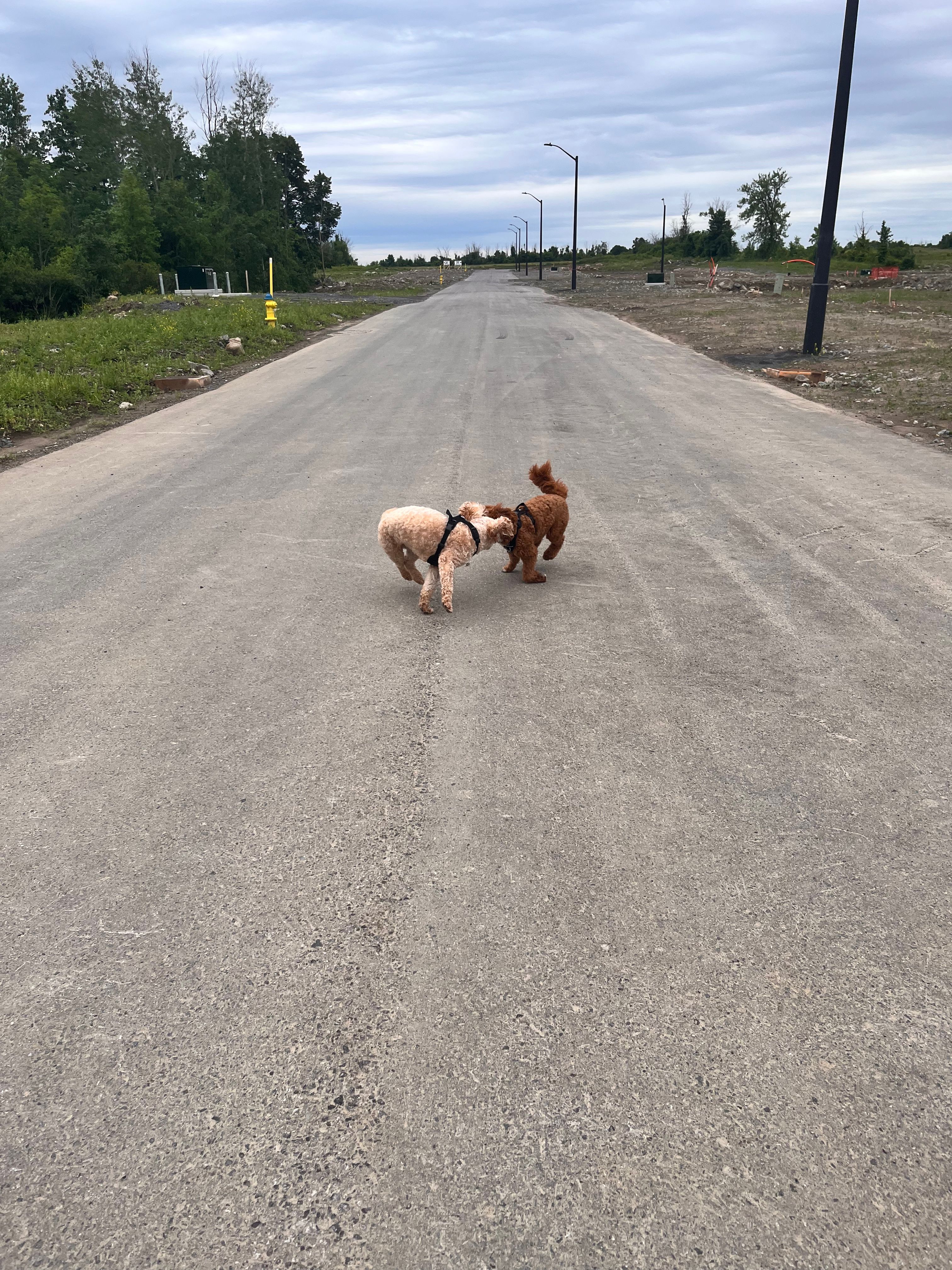 image-20