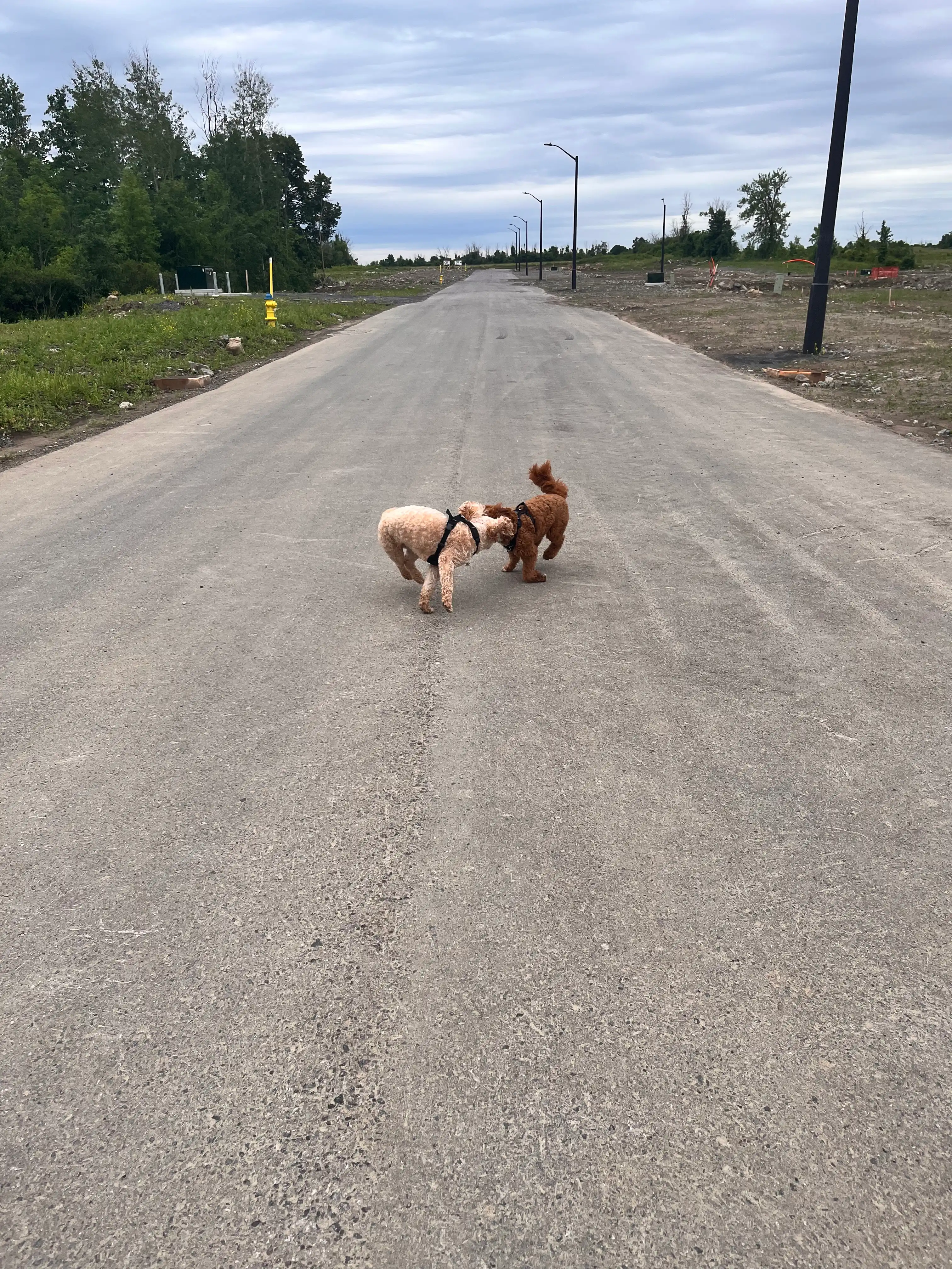image-20
