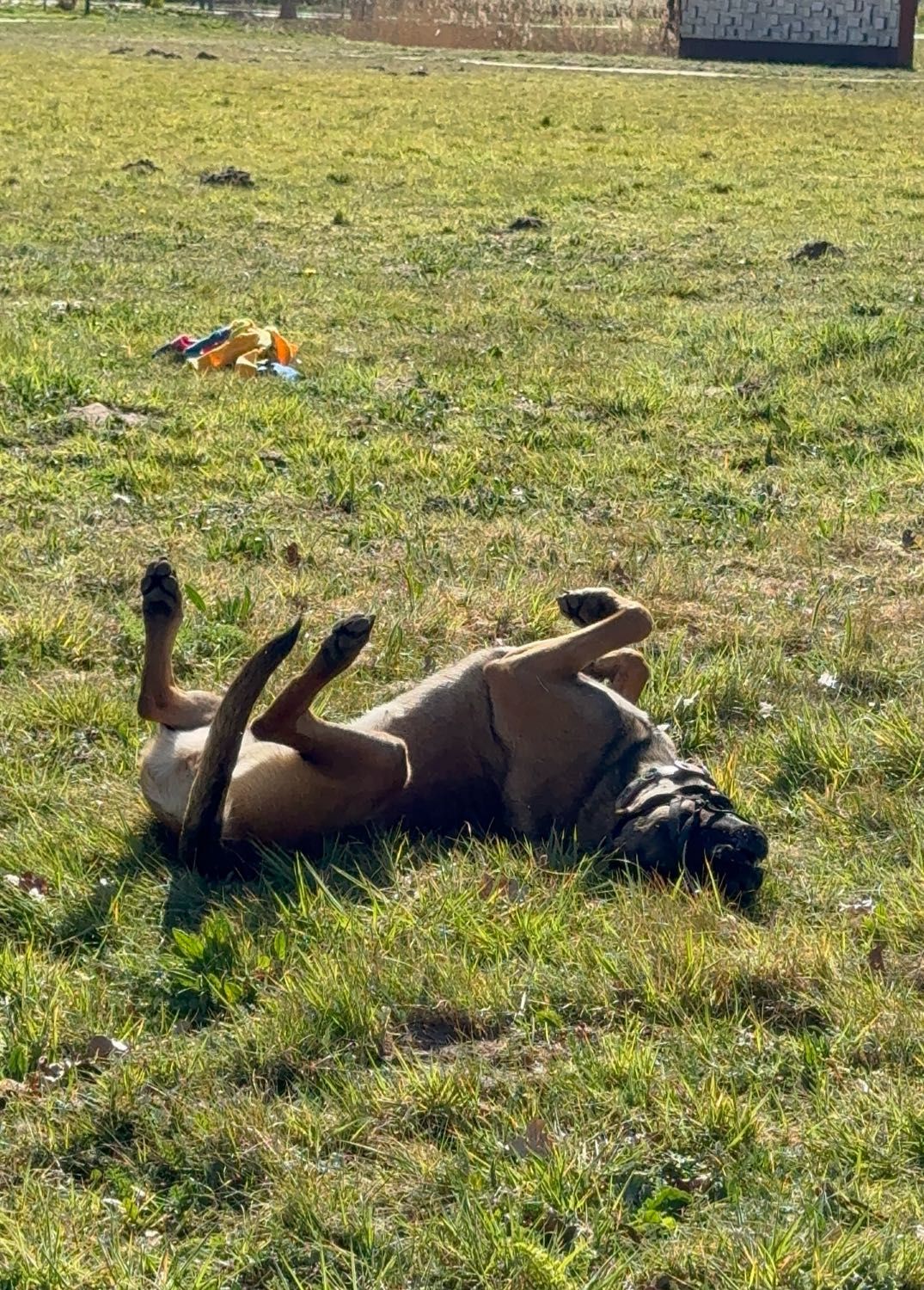 image-9