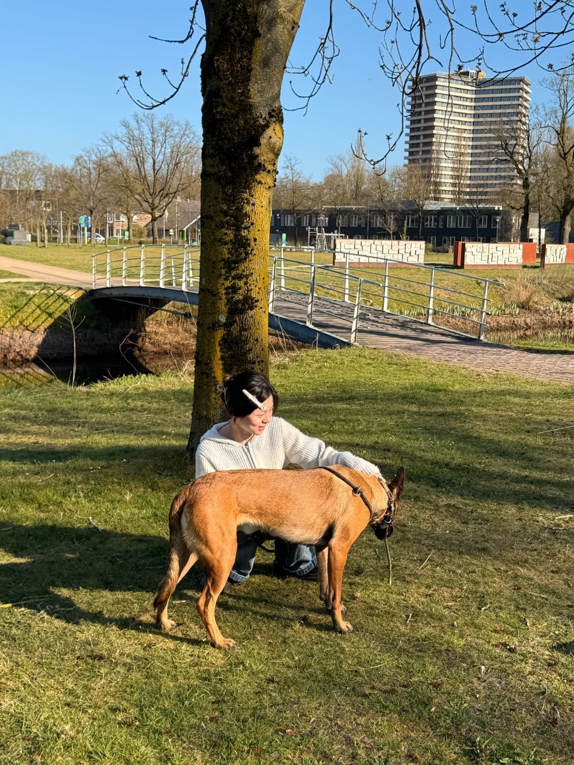 image-6