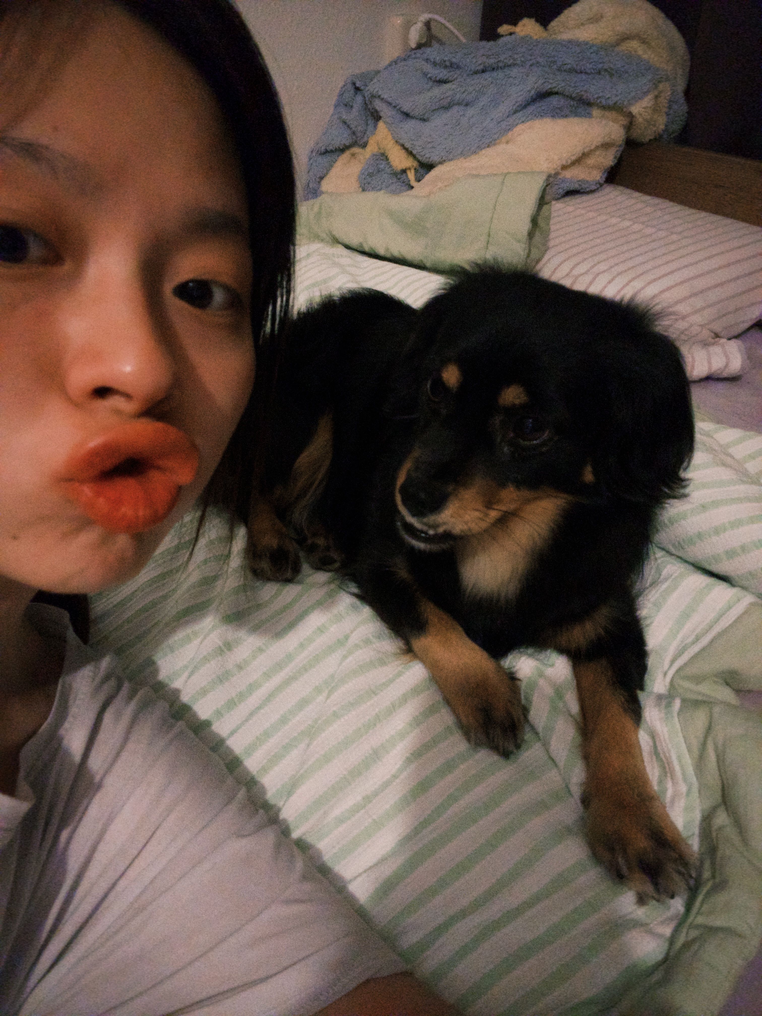 image-7