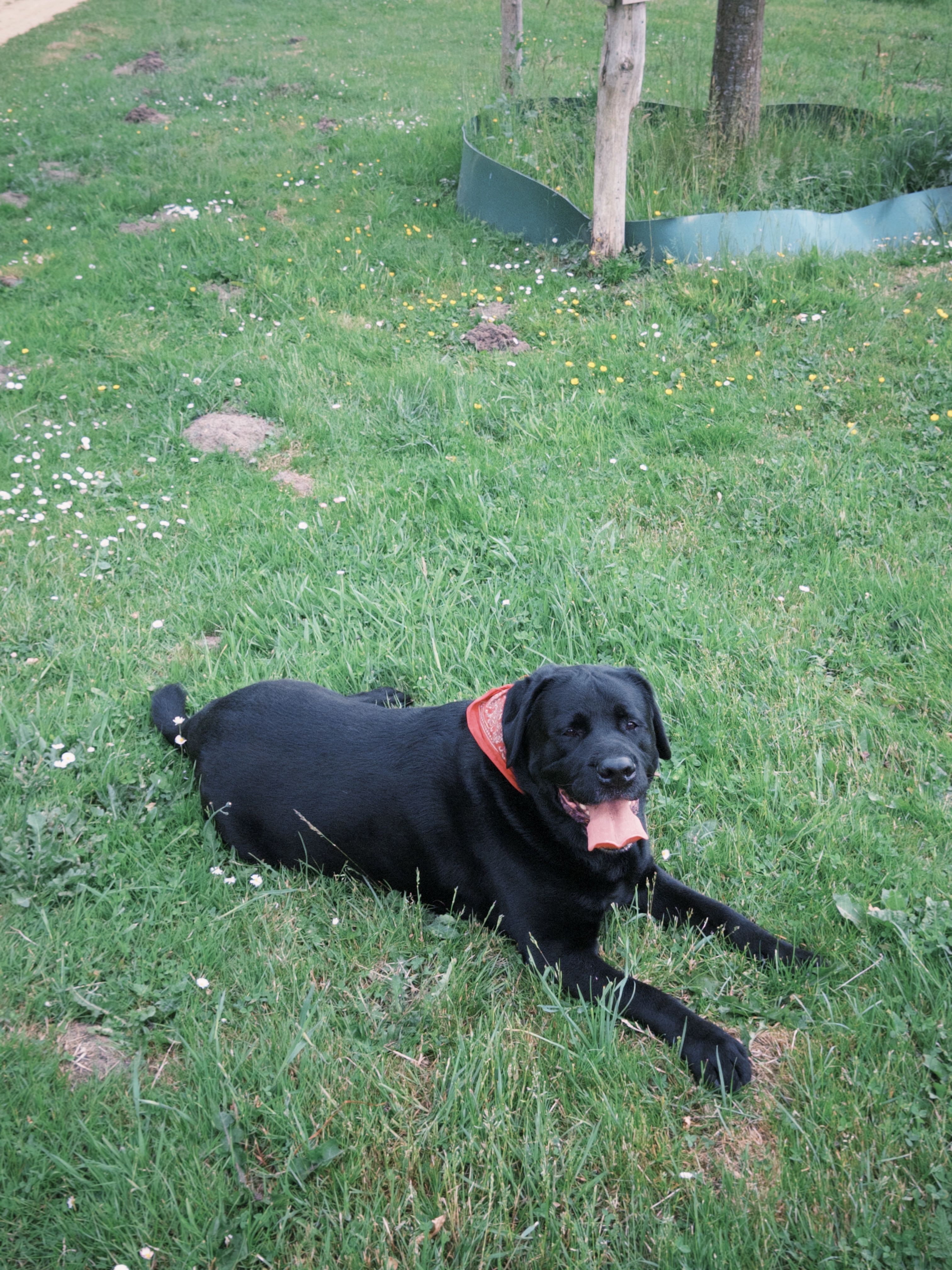 image-3