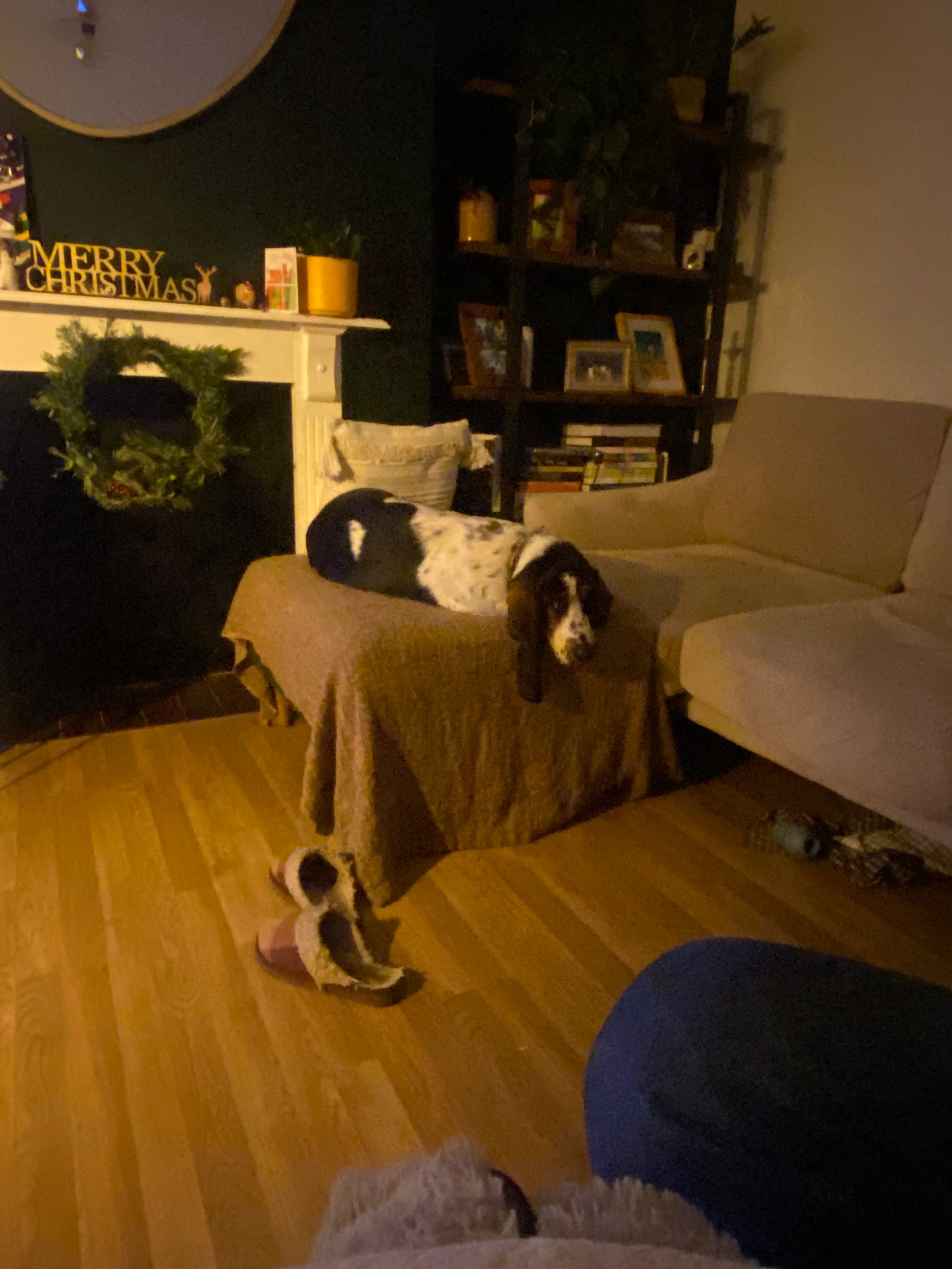 image-27