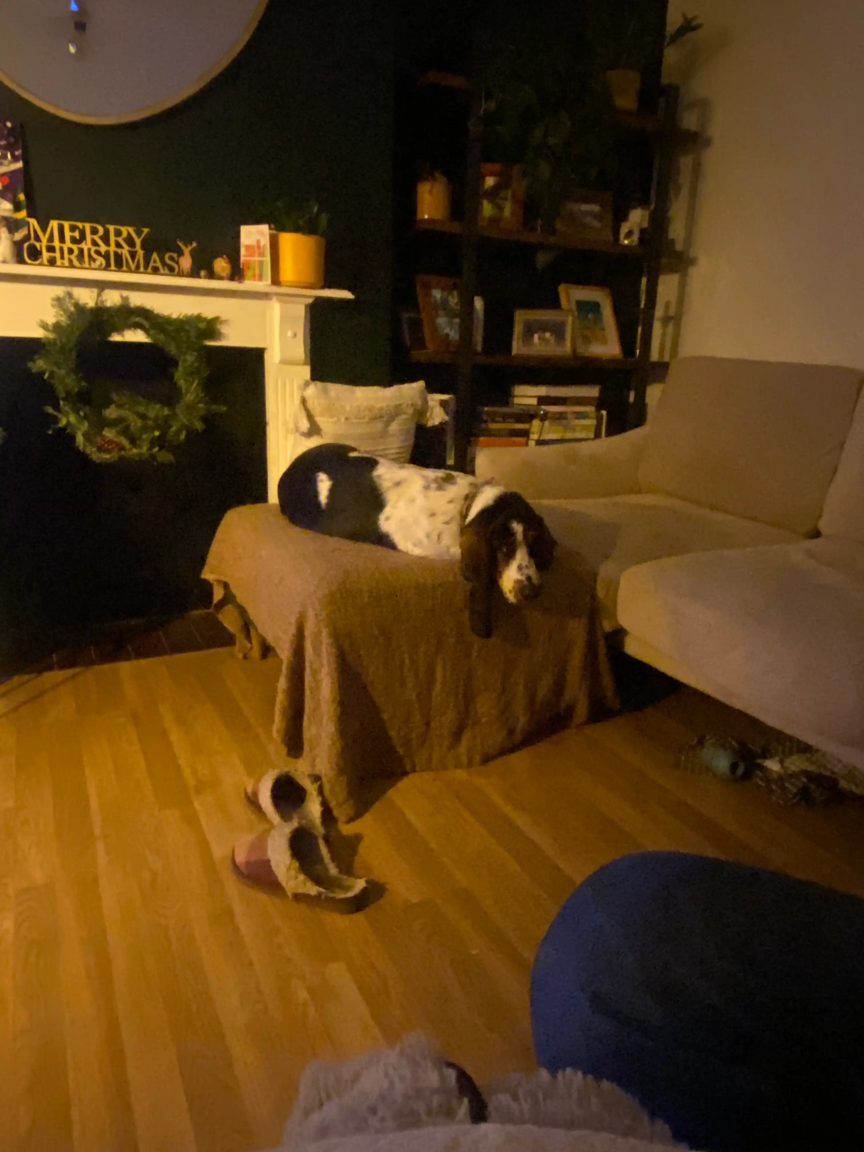 image-27