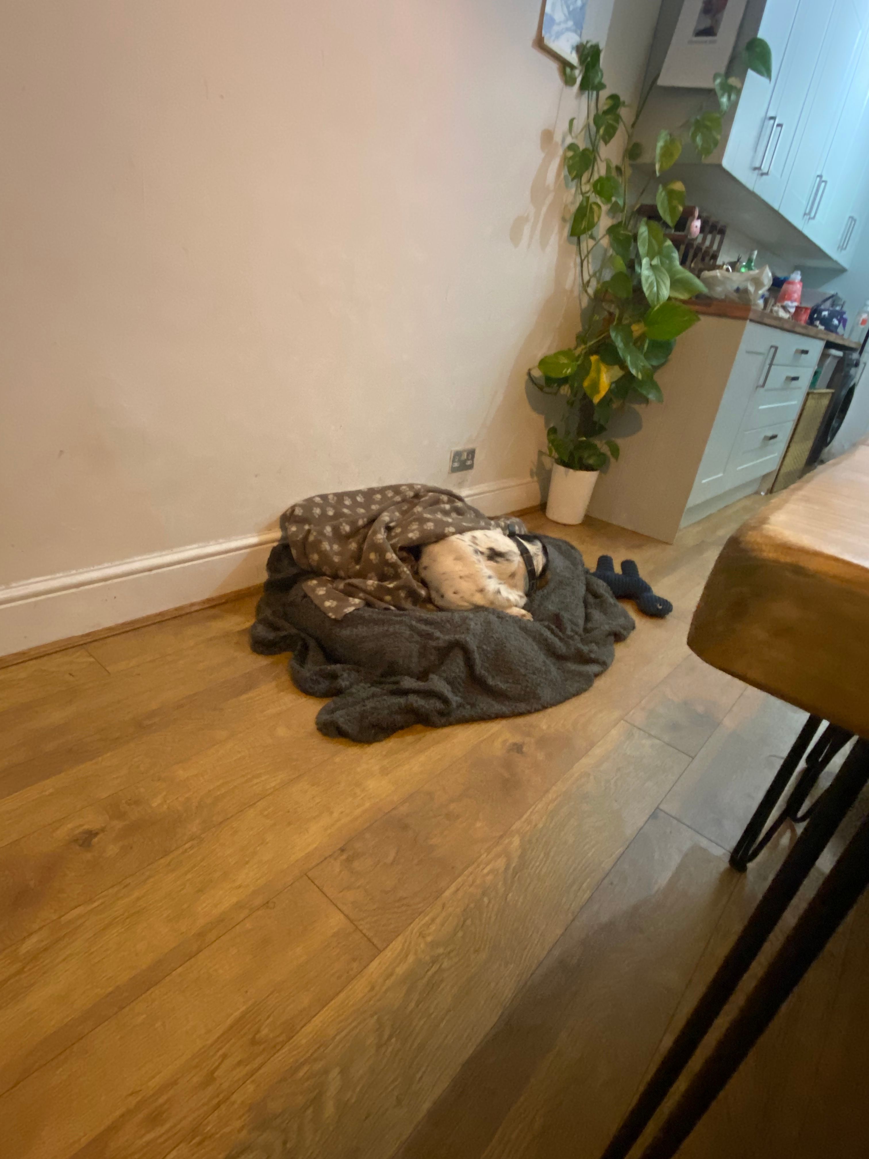 image-28