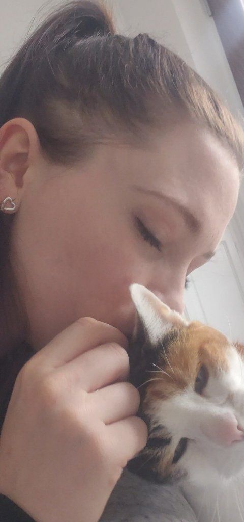 image-7