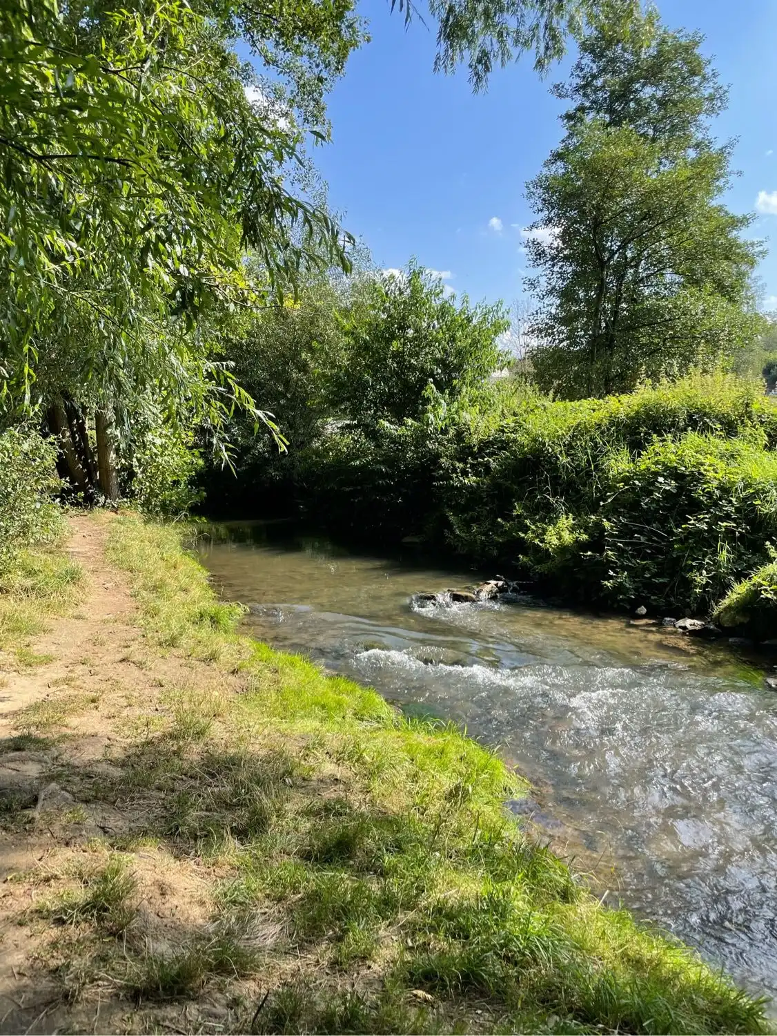 image-18