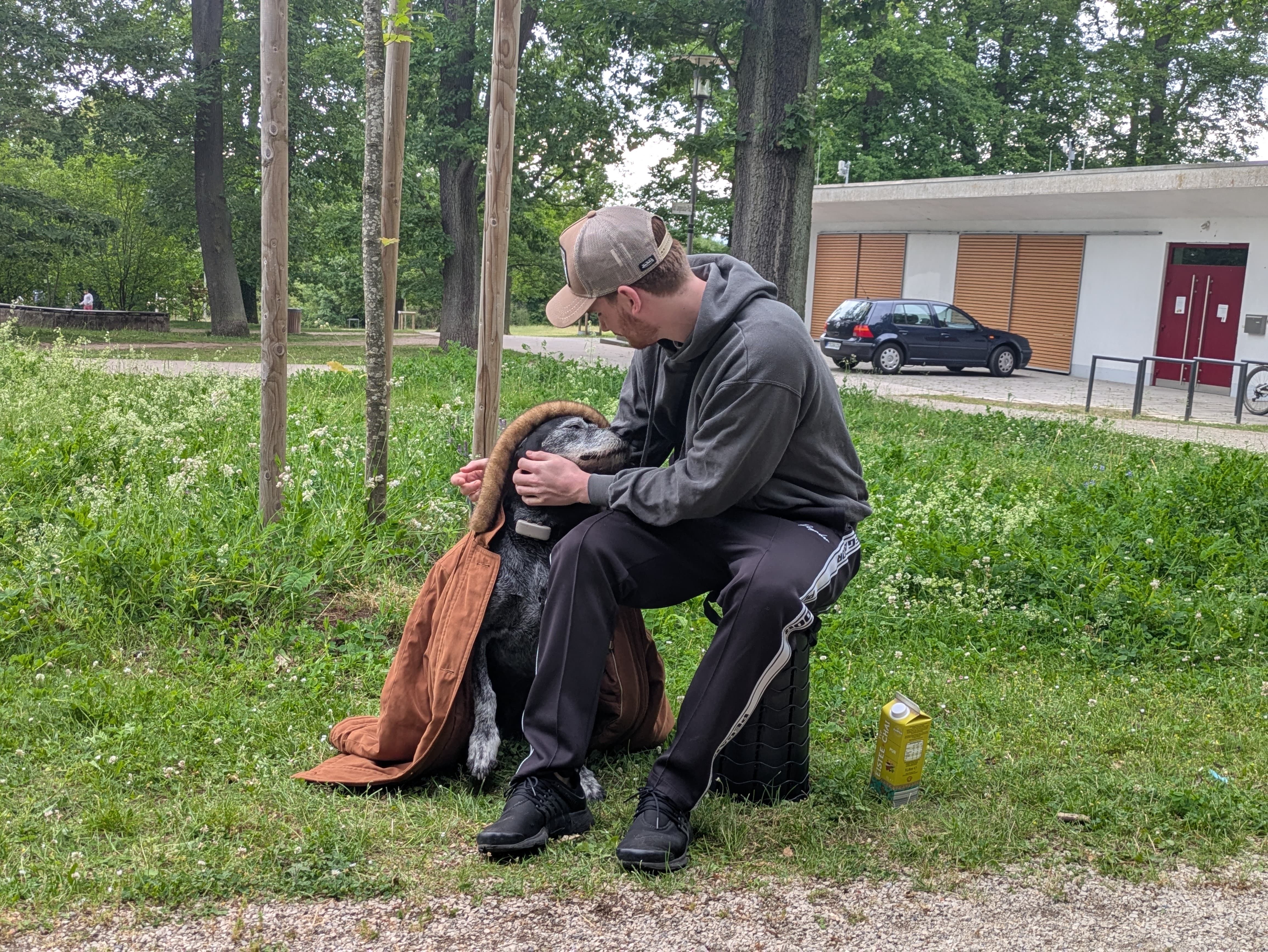 image-6