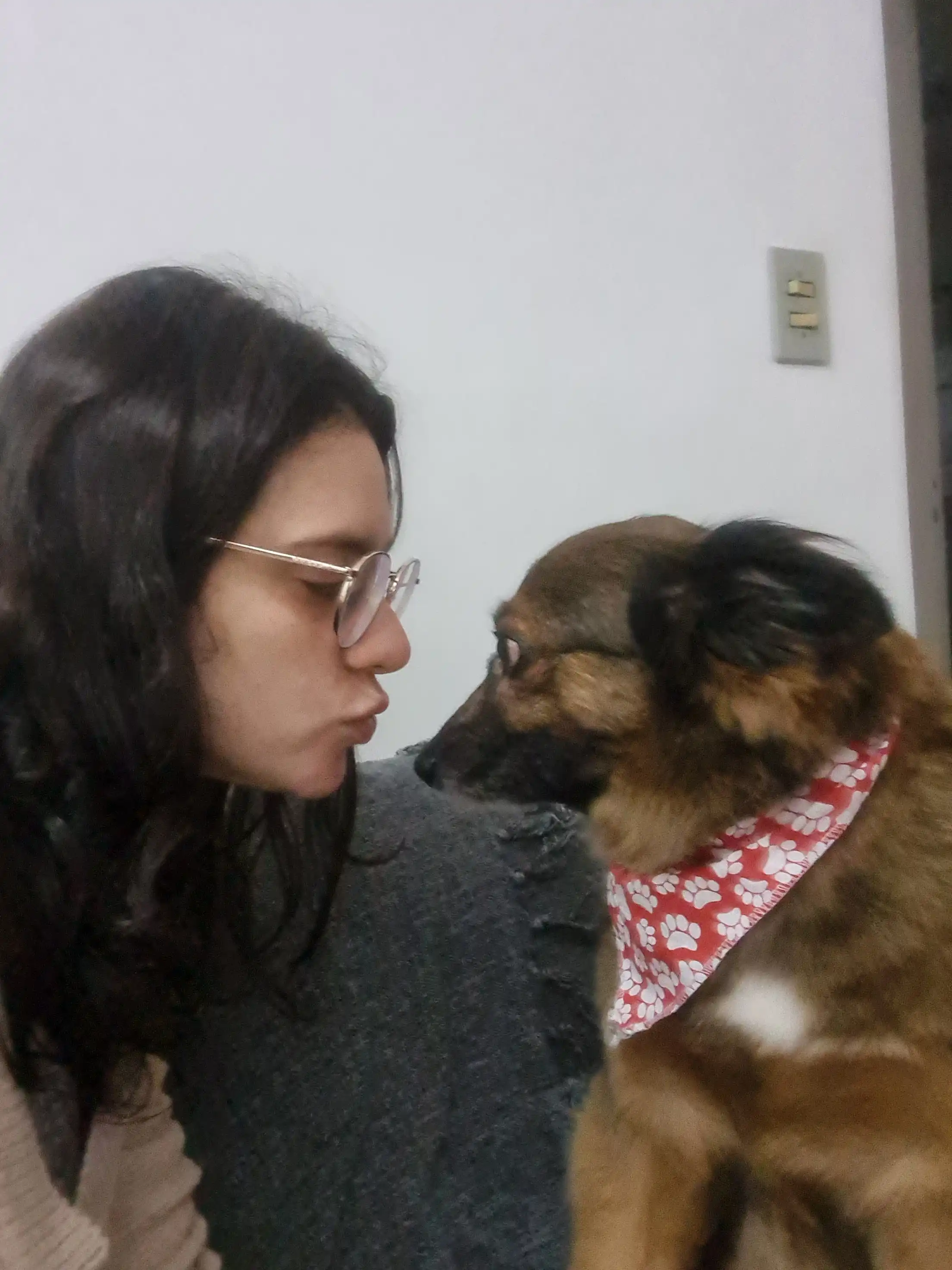 image-7