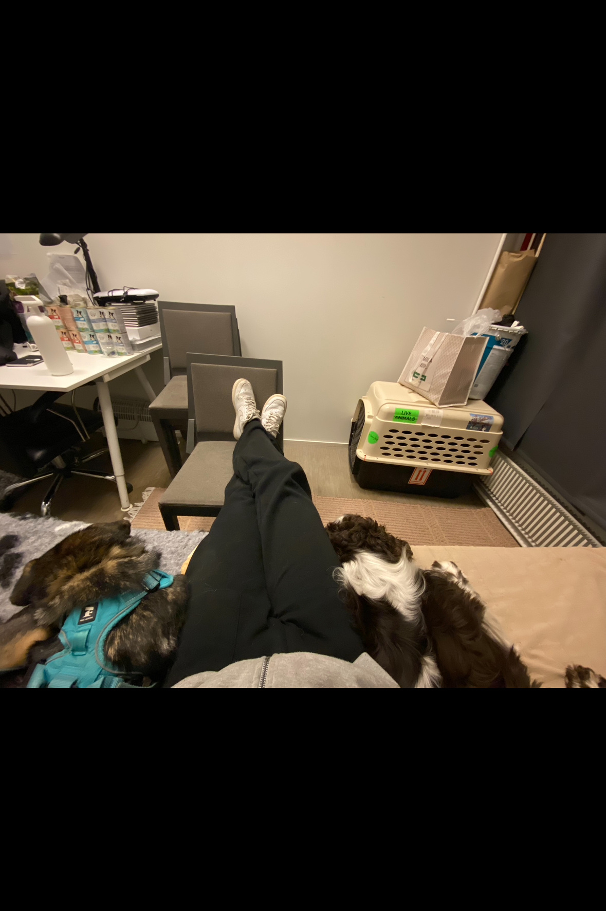image-3