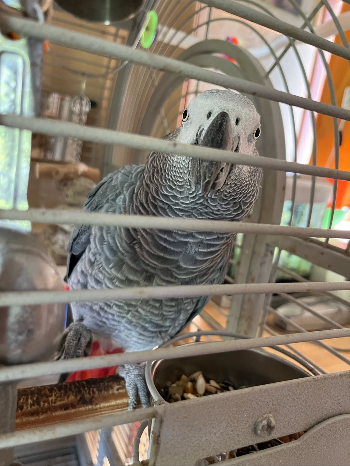 image-11