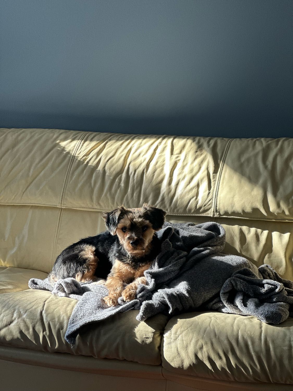 image-14