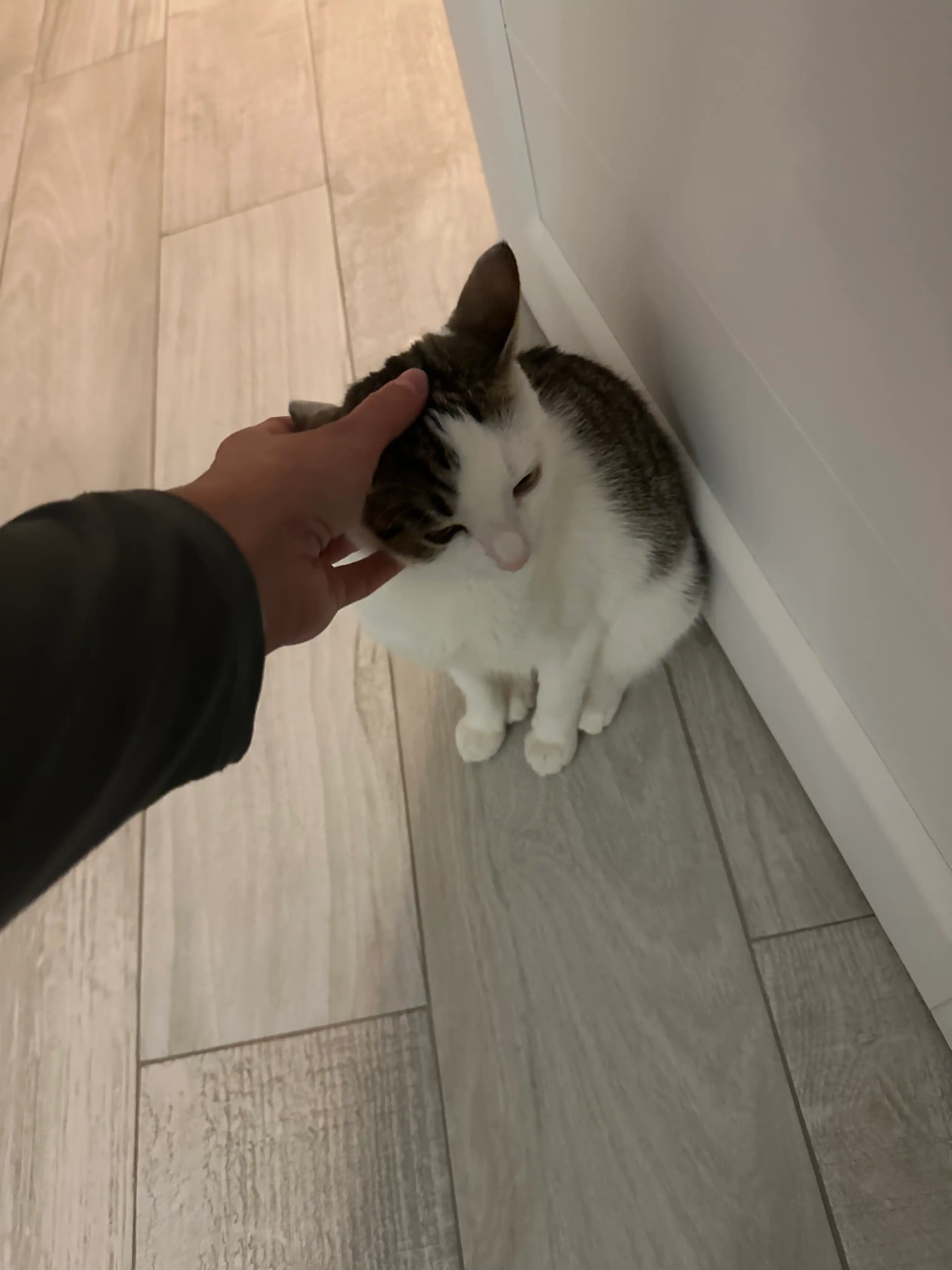 image-11