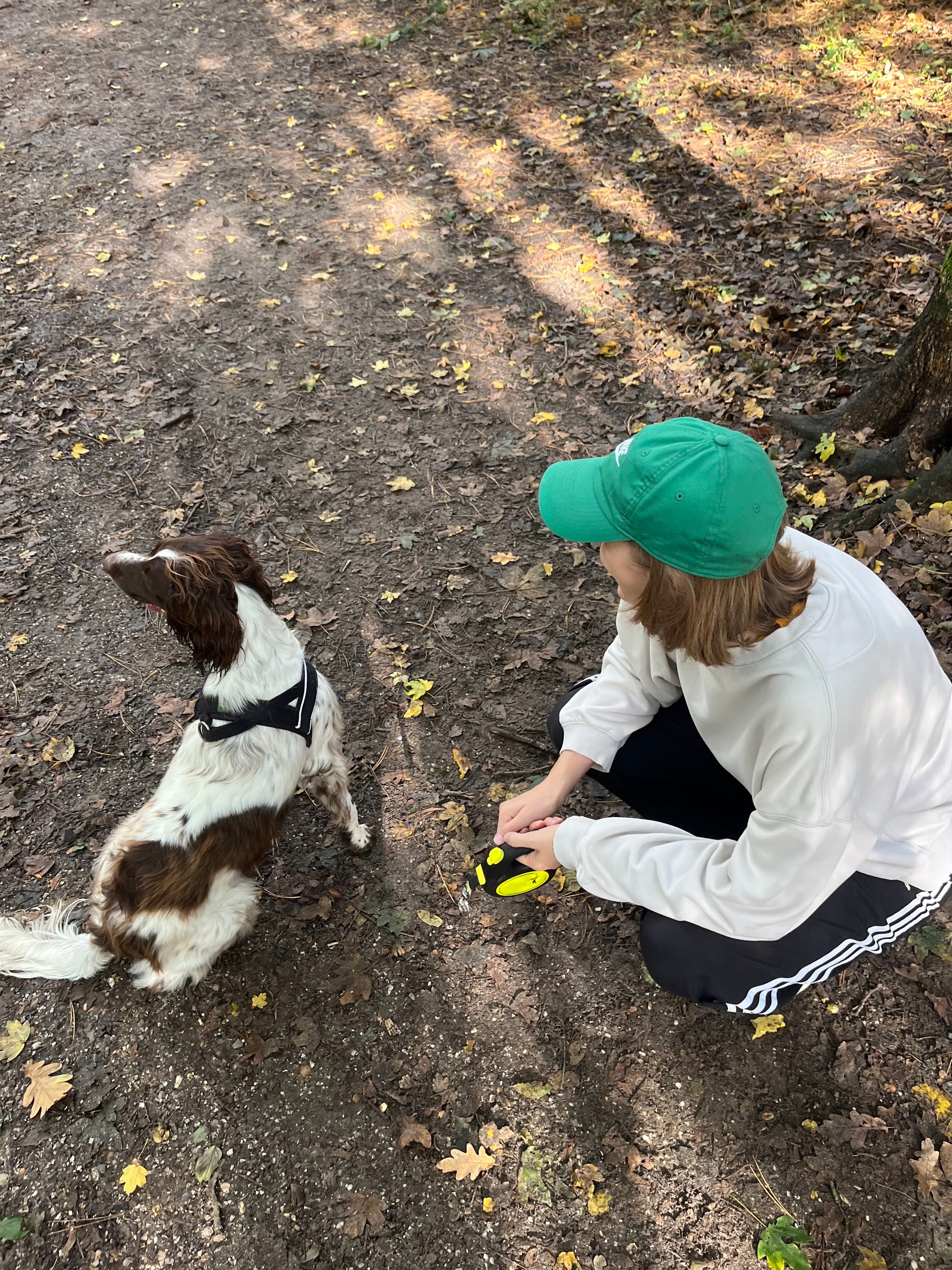 image-5