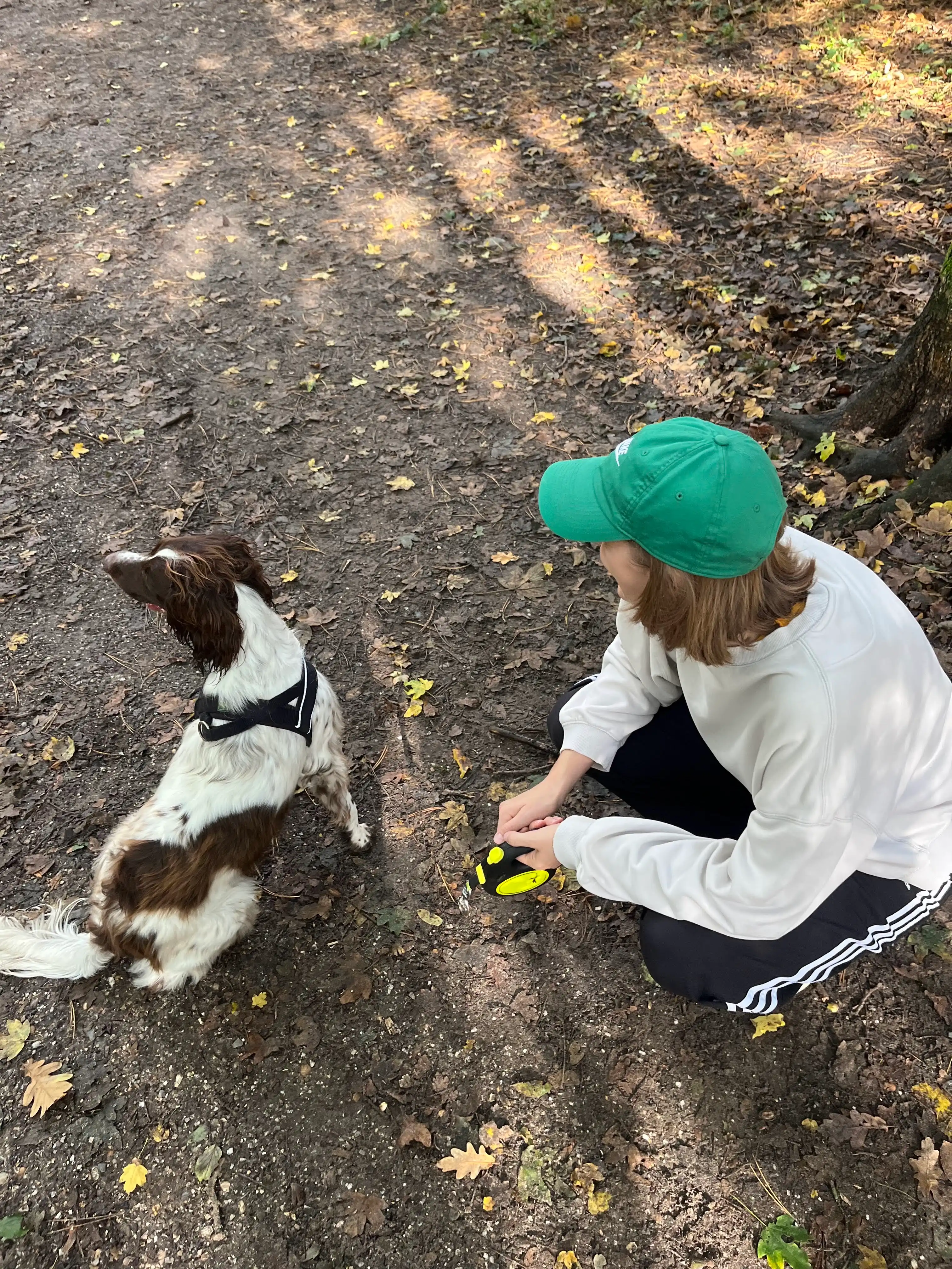 image-5