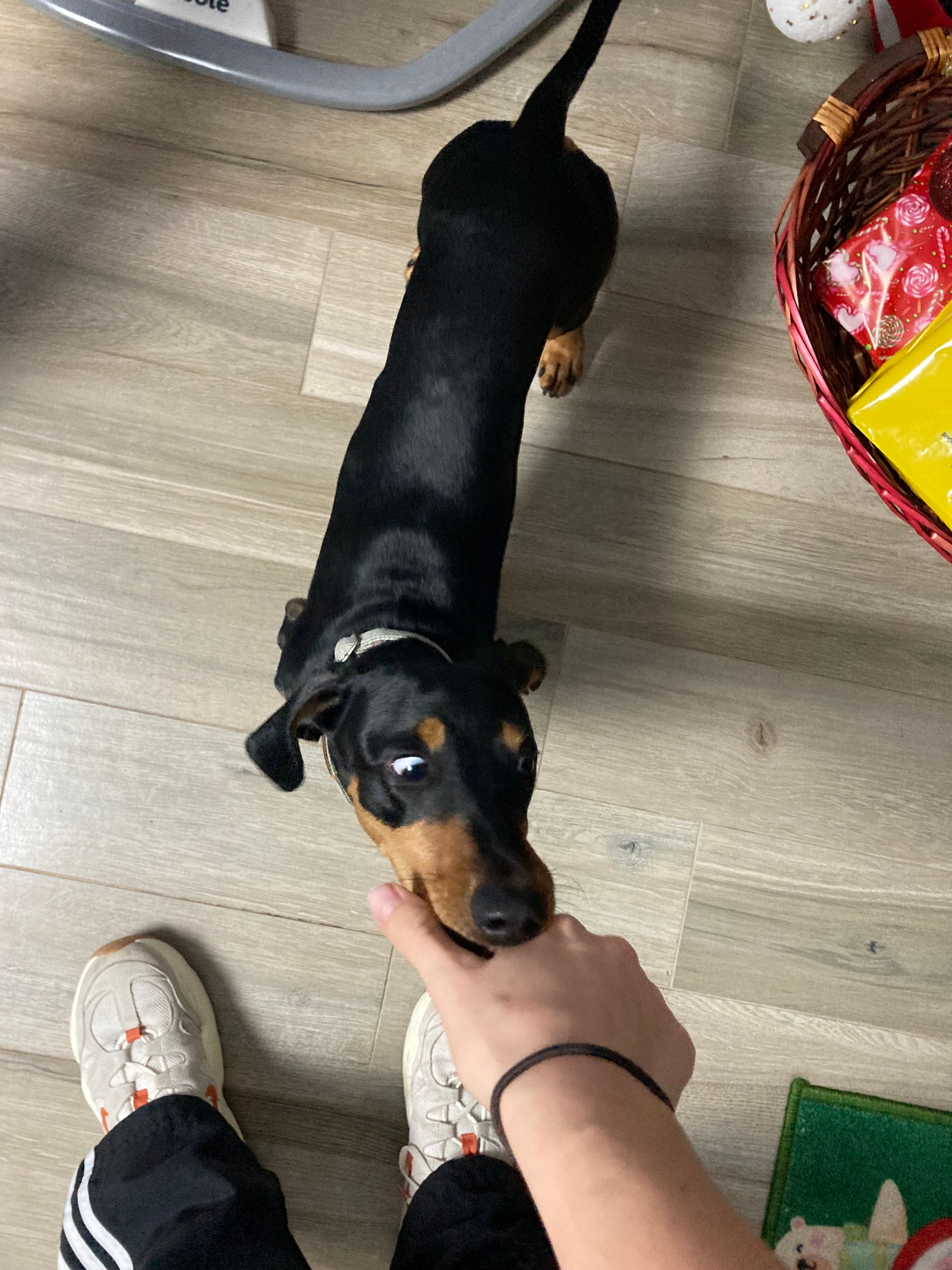 image-6