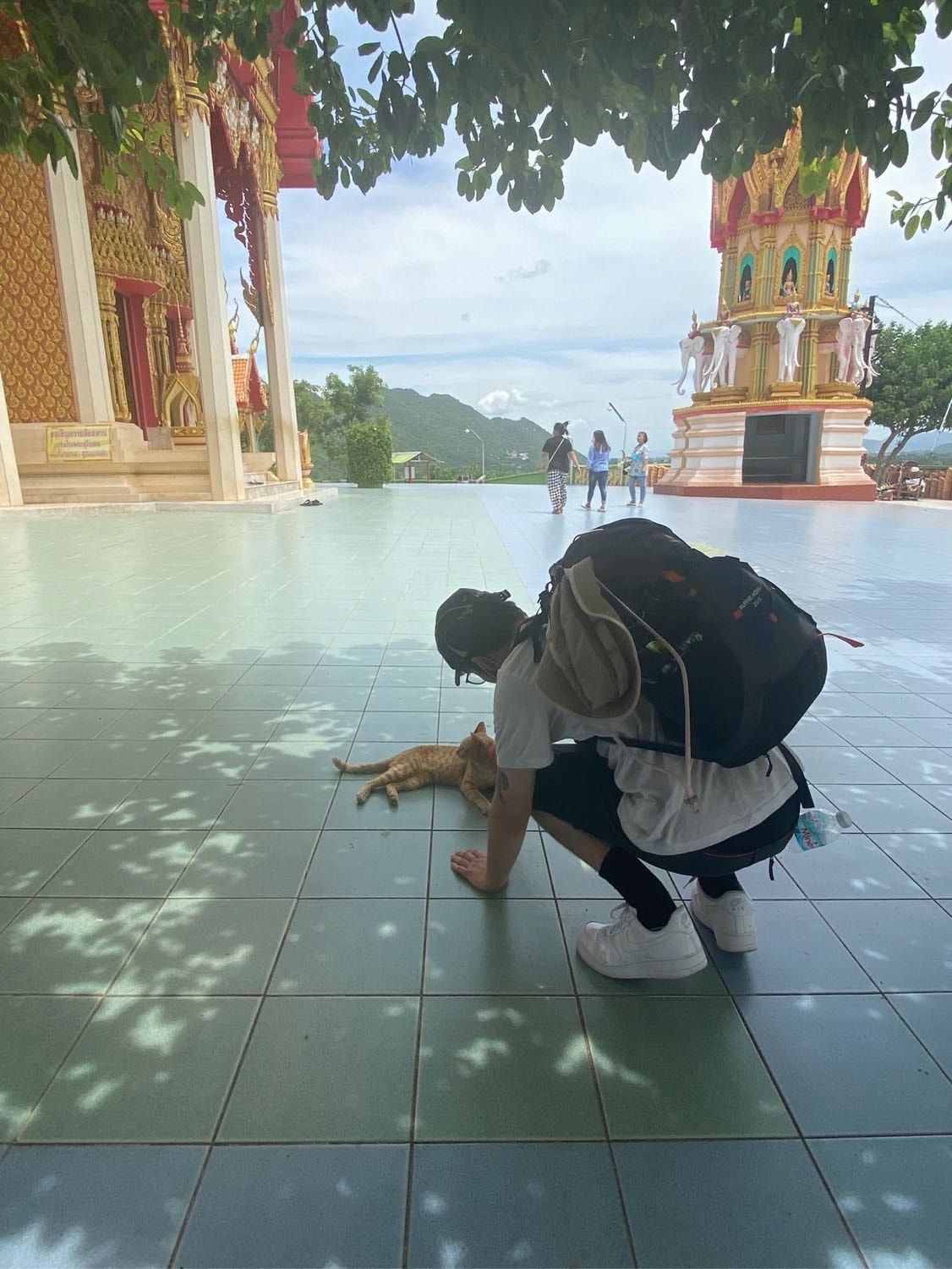 image-12