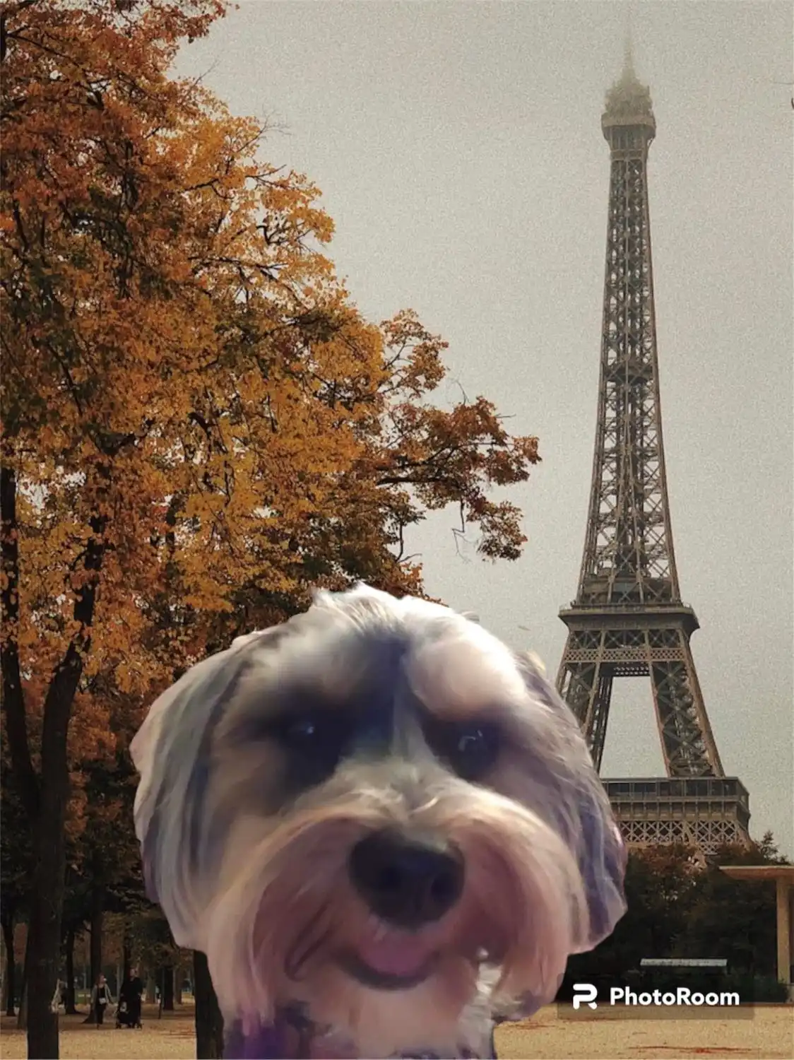 image-66