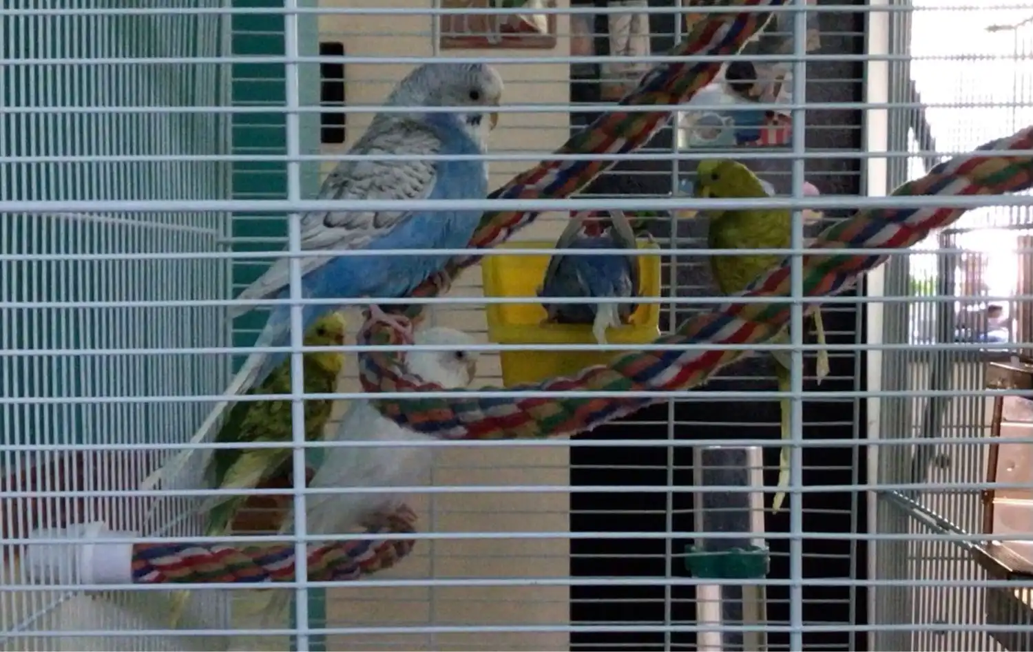 image-10