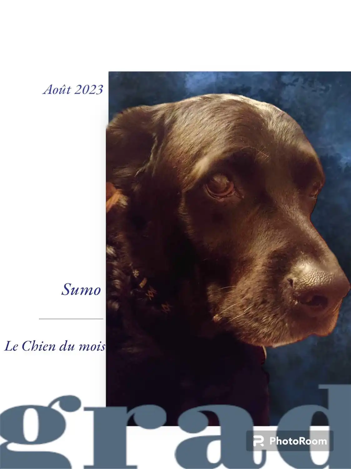 image-40
