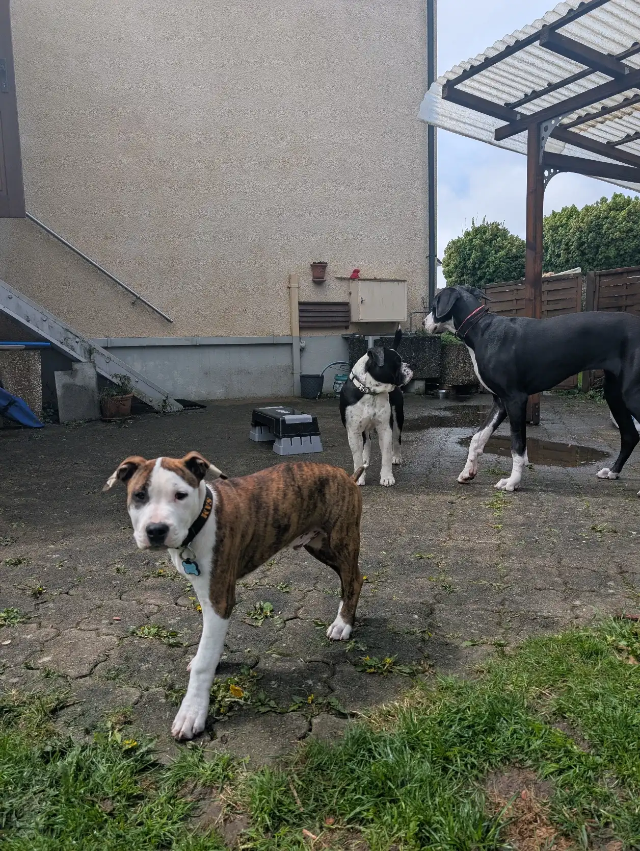 image-19