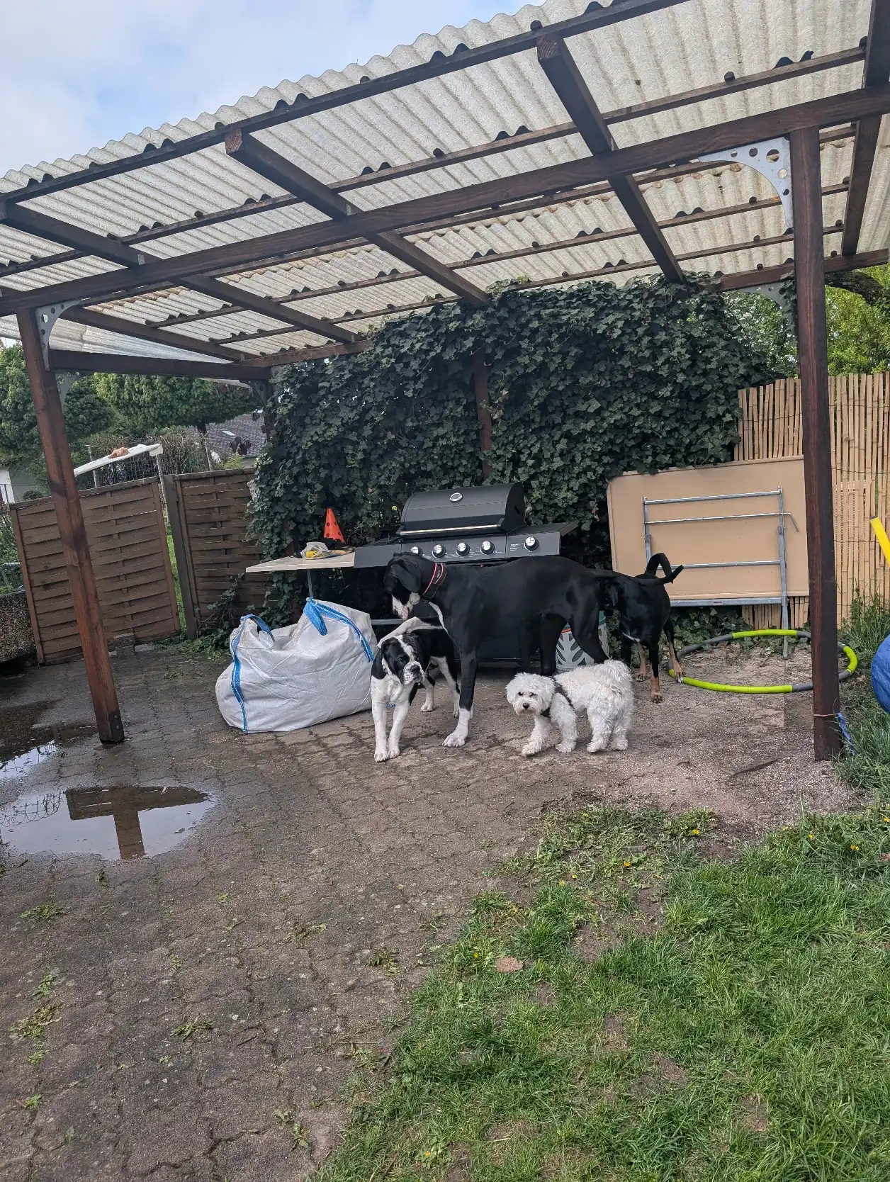 image-18