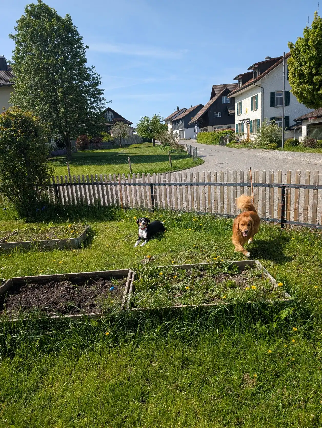image-17
