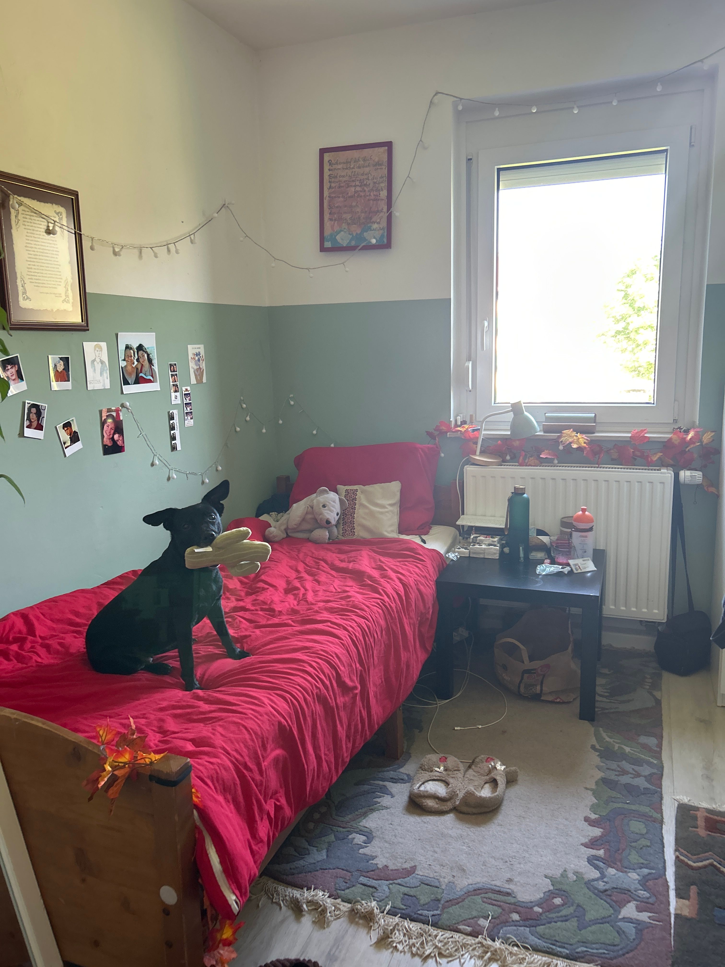 image-10