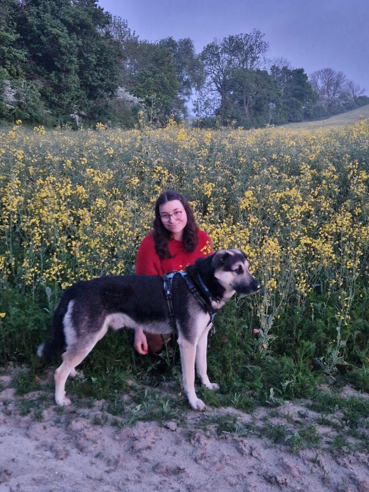 image-4