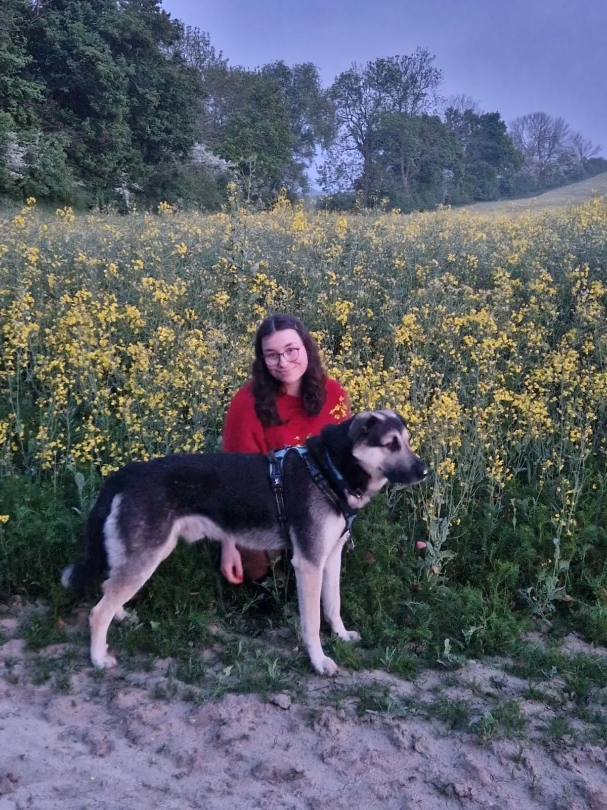 image-4