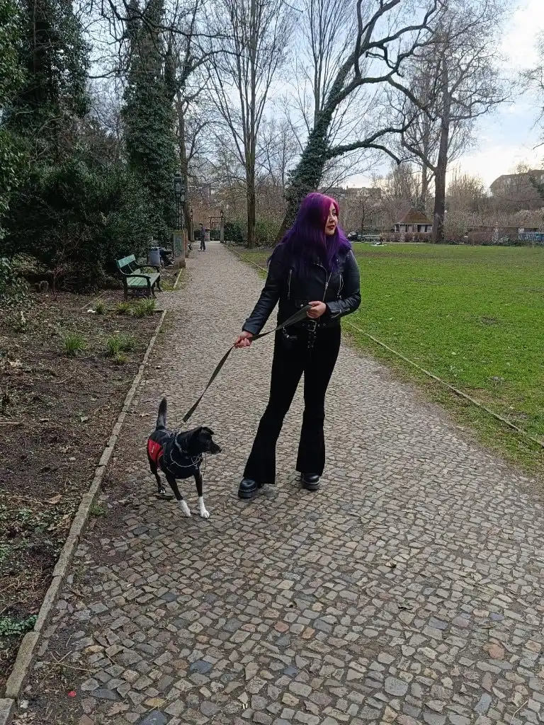 image-18