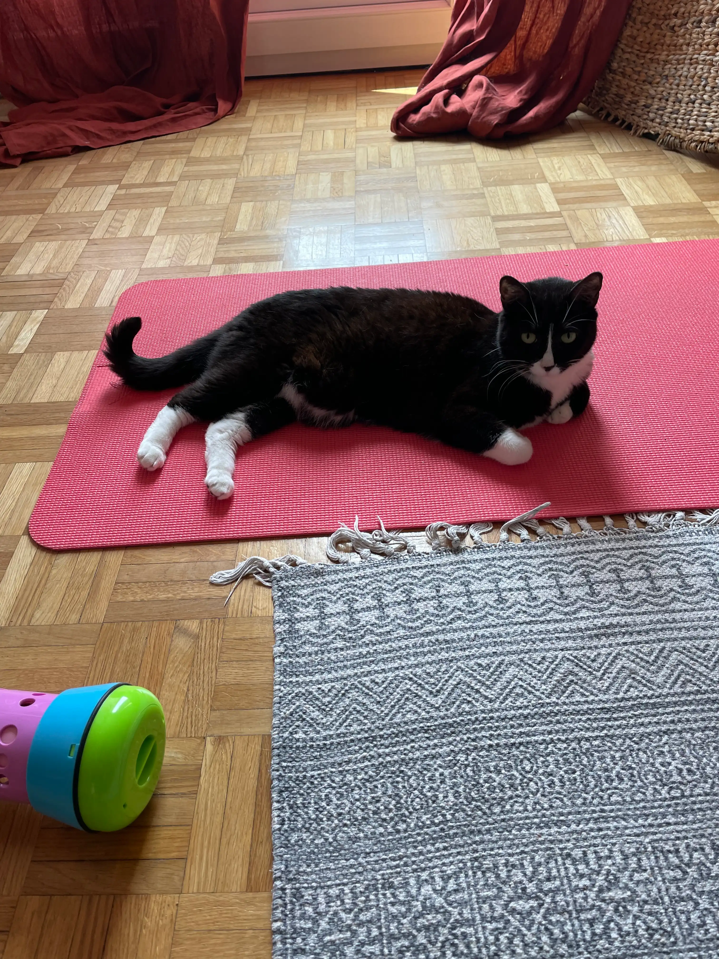 image-18