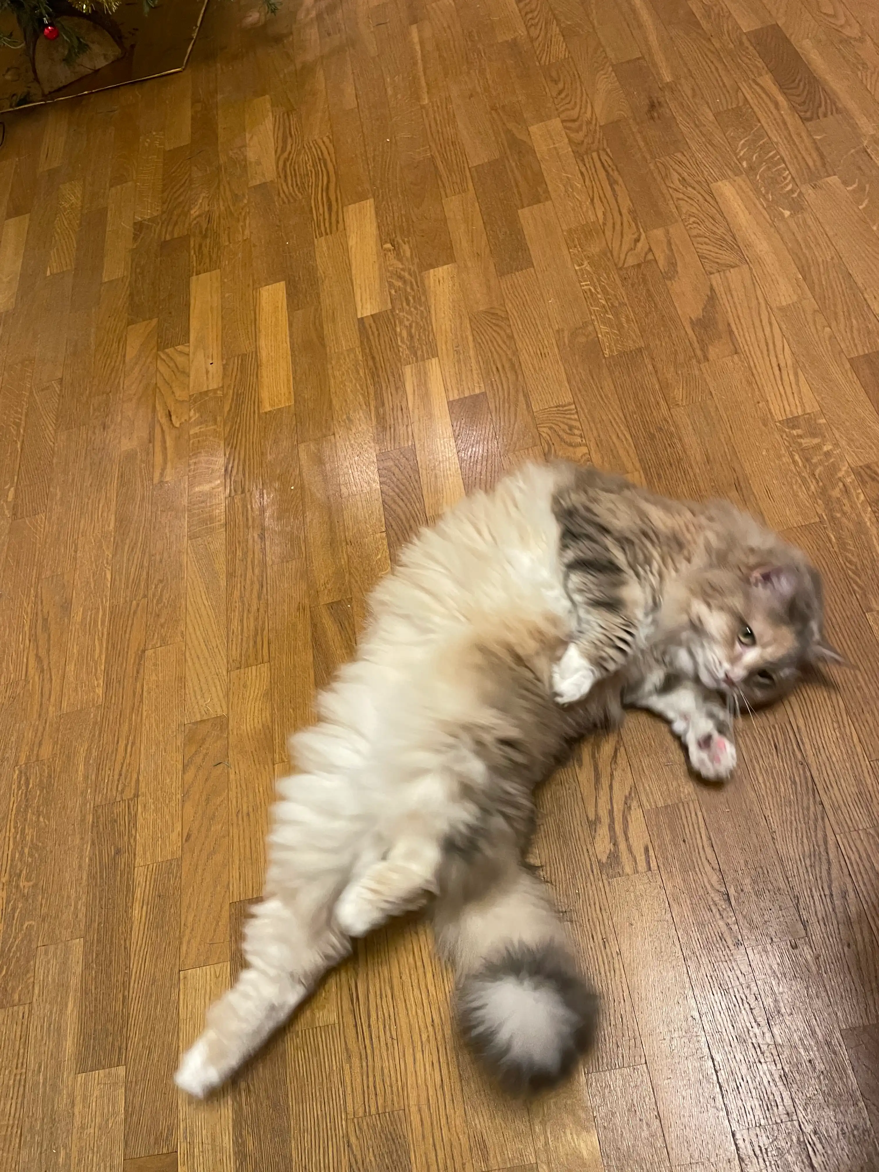 image-11