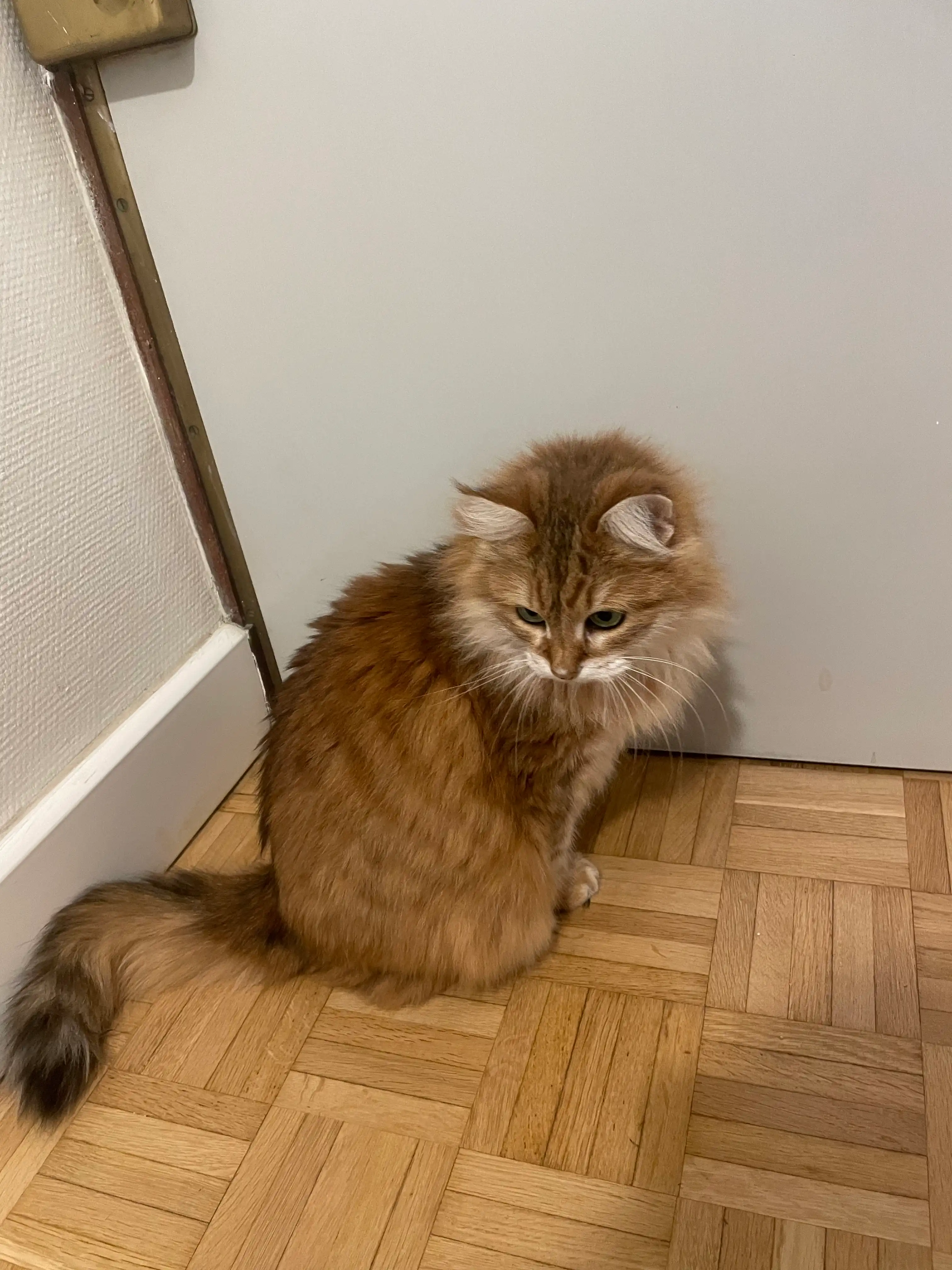 image-15
