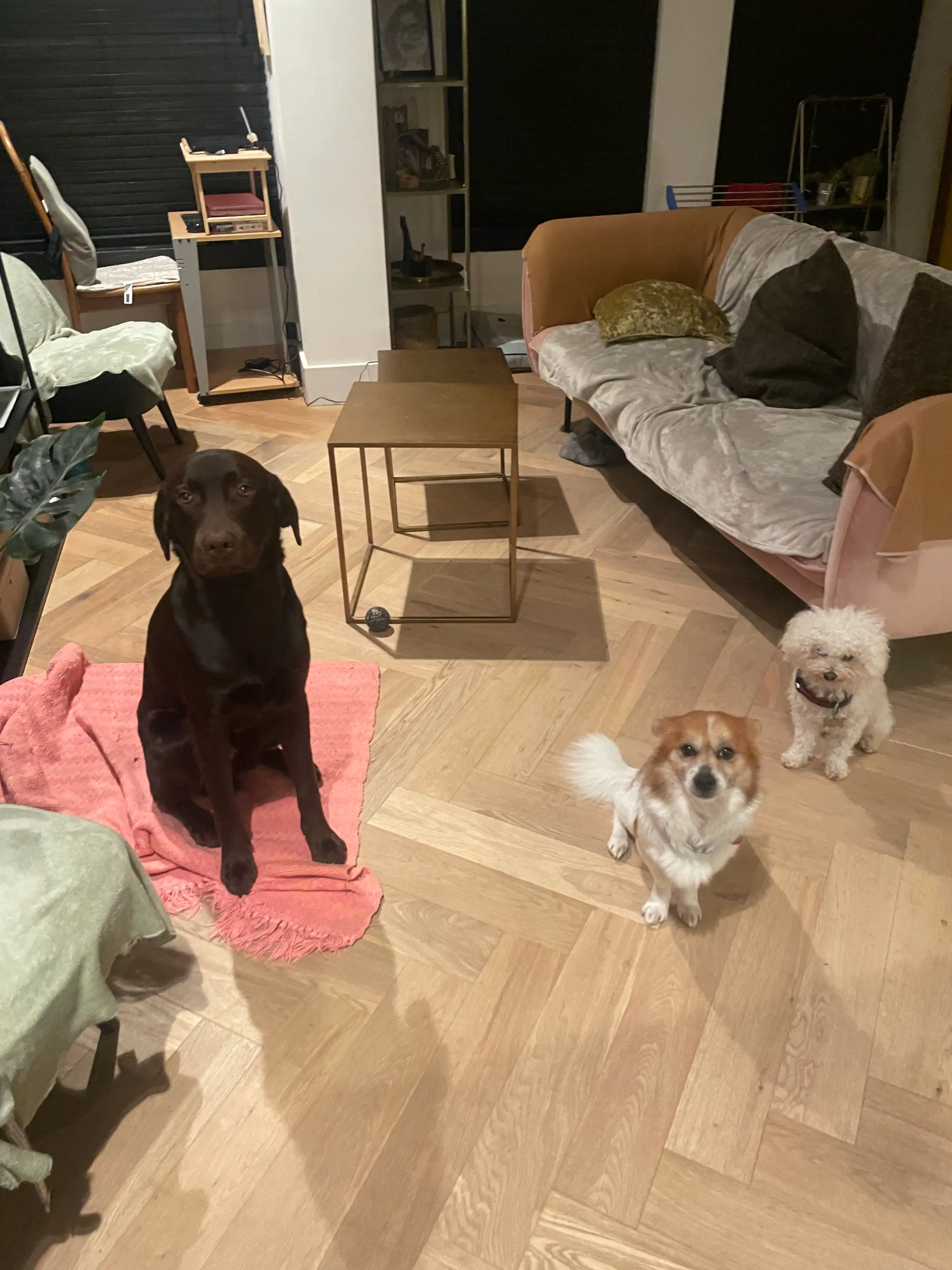 image-7