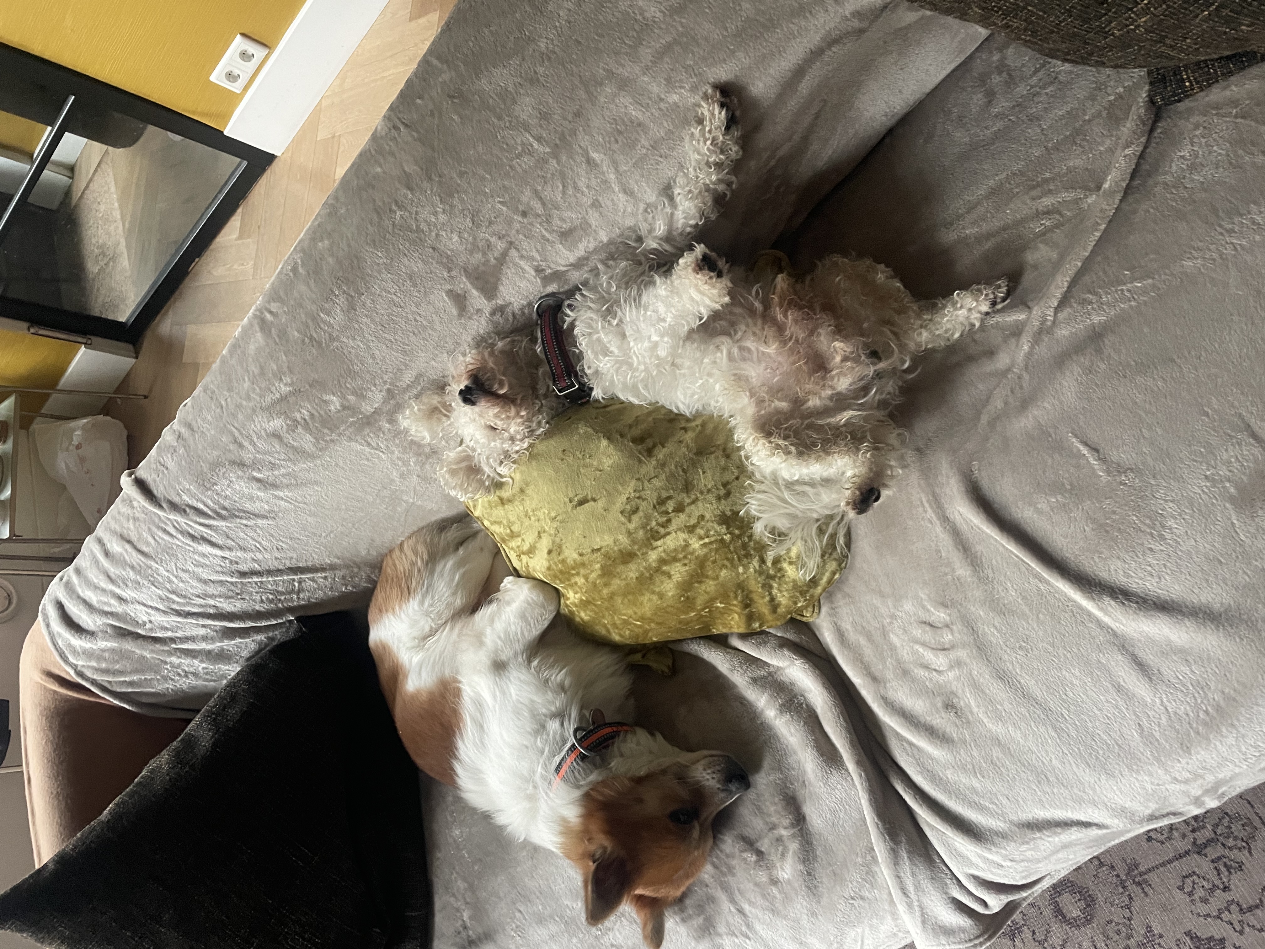 image-9