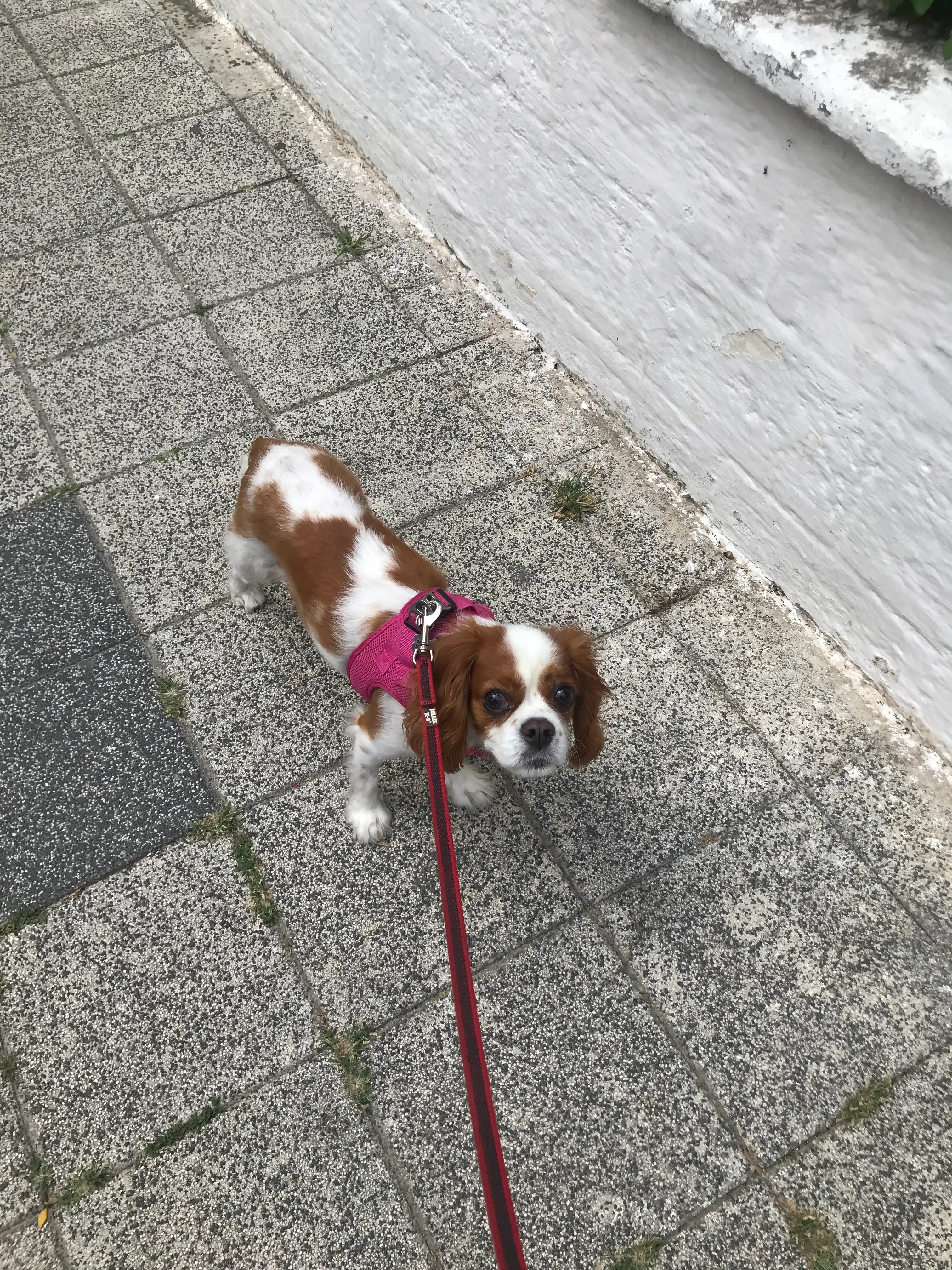 image-9