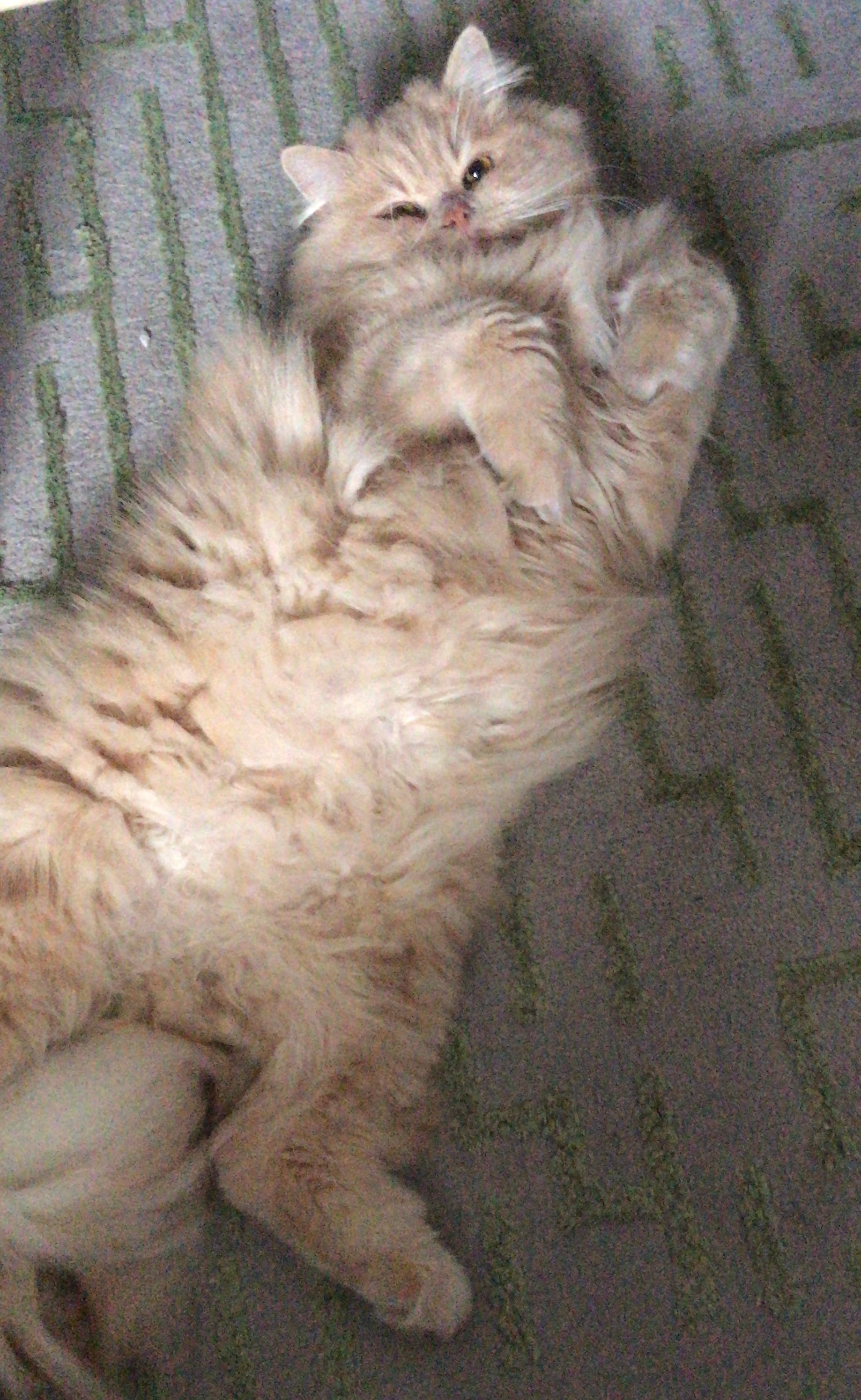 image-7