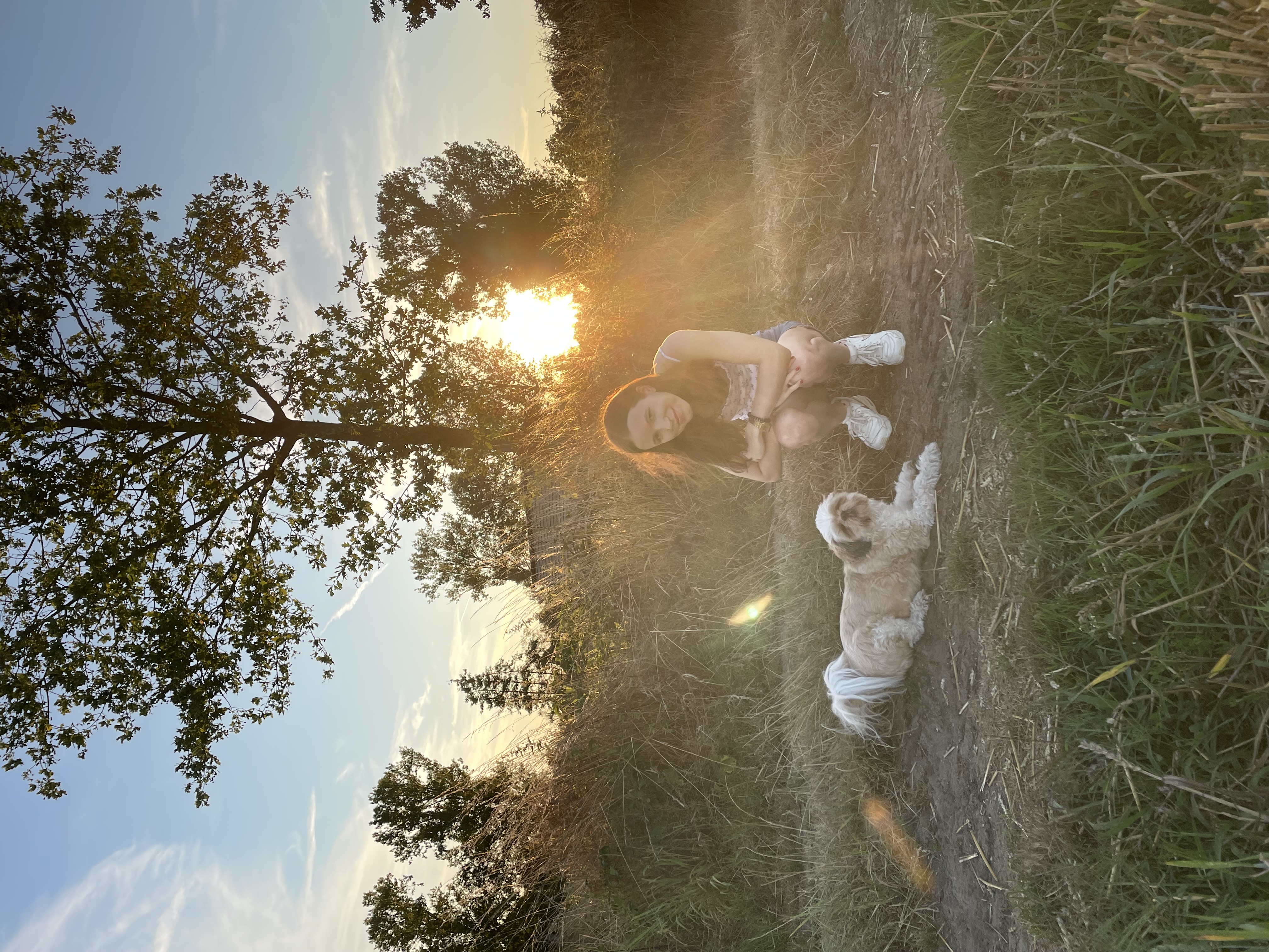 image-13