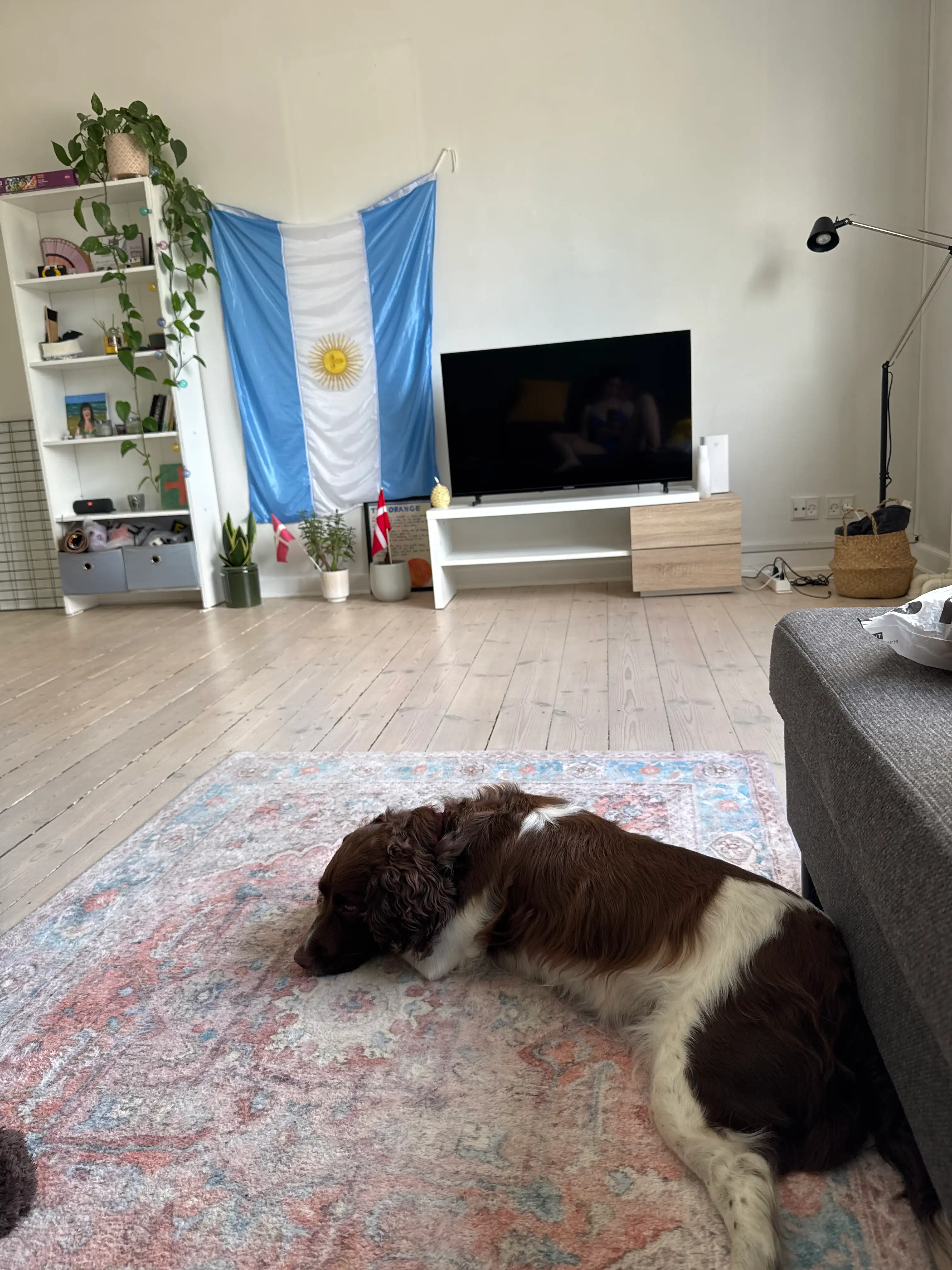 image-15