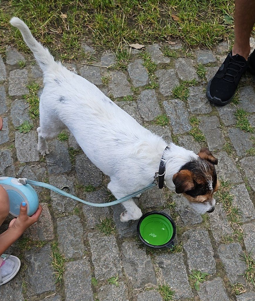 image-113
