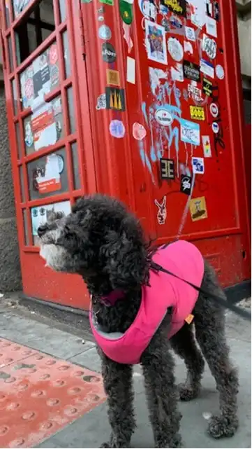 image-45