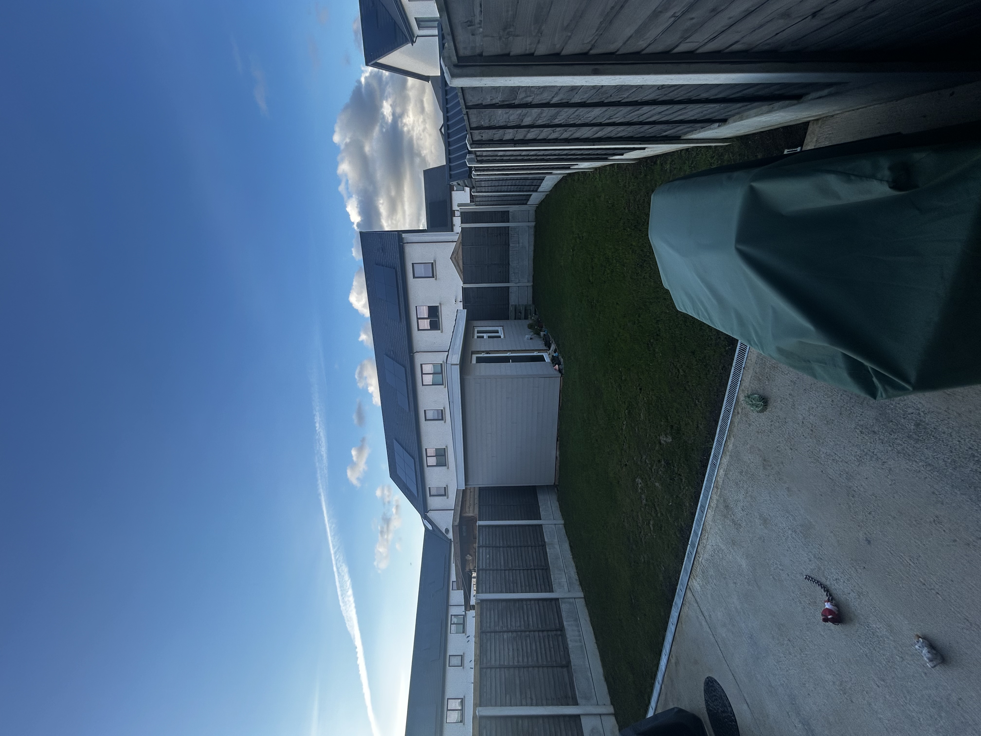 image-20