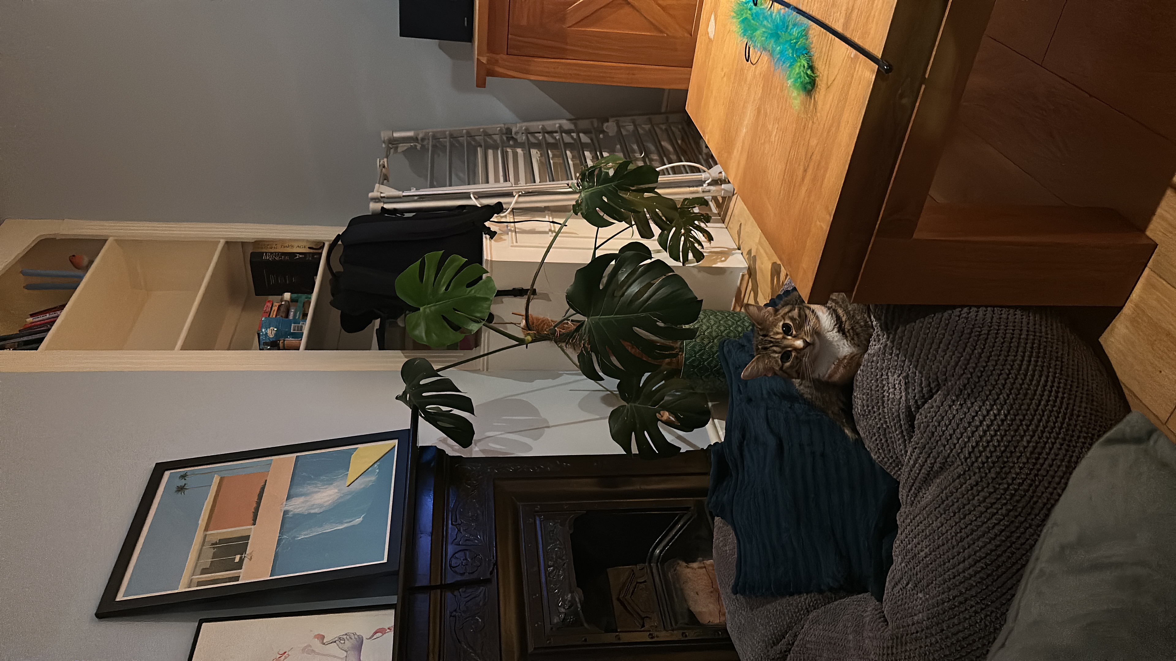 image-15