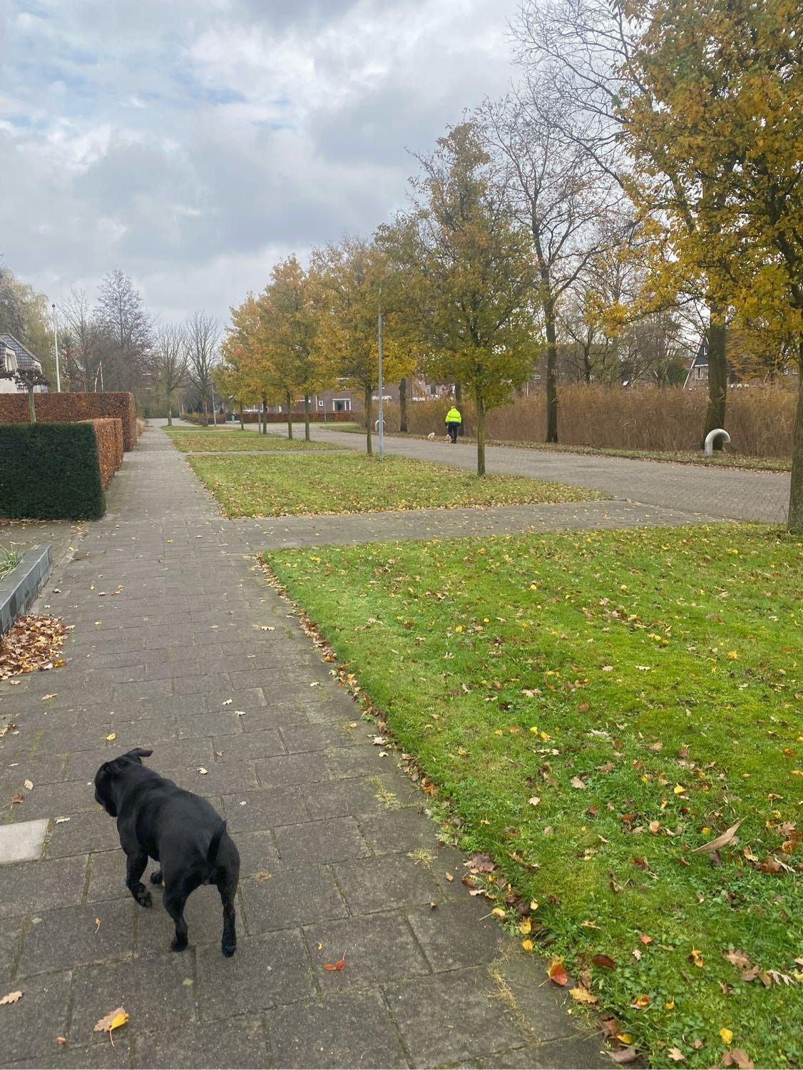 image-14